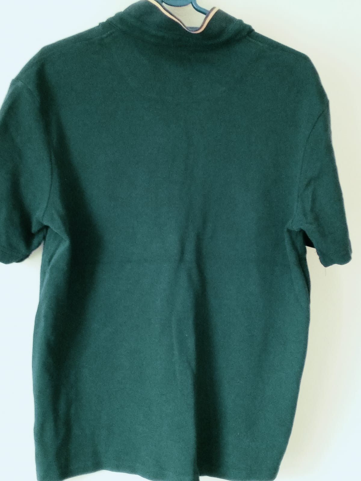 Other Classic Green Polo Shirt for Men | Everyday Style Size US XL / EU 56 / 4 - 4 Thumbnail