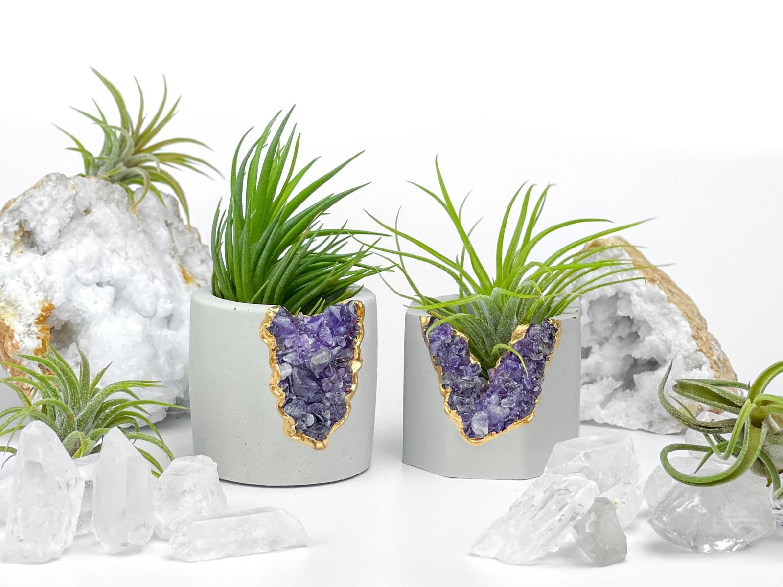 Other Purple Small Air Plant Holder Display Stand Fern Tillandsia Size ONE SIZE - 8 Thumbnail