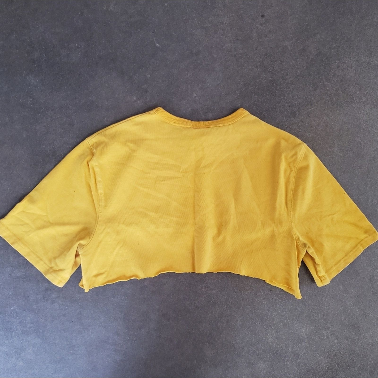 Champion Mustard | CHAMPION | Cropped Short Sleeve Size M / US 6-8 / IT 42-44 - 2 Thumbnail