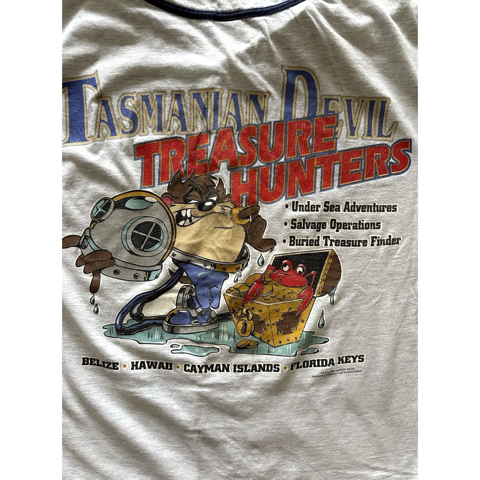 Vintage 90s Vintage Taz Devil Treasure Hunters Baseball Jersey Shirt Large Gray - Unisex Adult Size US L / EU 52-54 / 3 - 3 Thumbnail