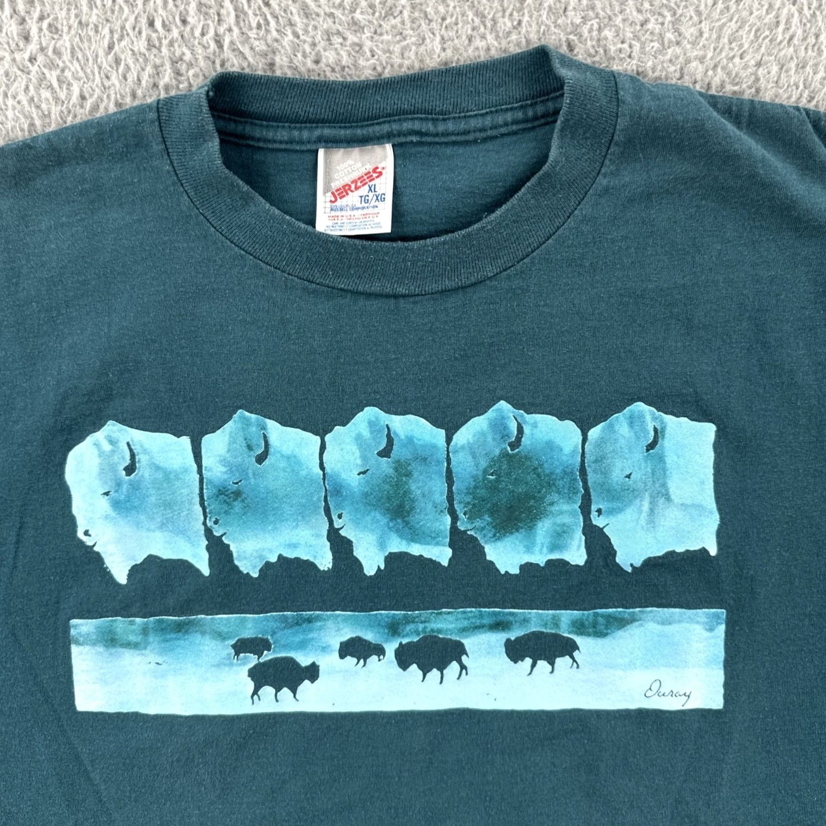 Jerzees VINTAGE Jerzees T-Shirt Mens XL Green Crew Neck Short Sleeve Bison Graphic Print USA 90s Ouray Co Size US XL / EU 56 / 4 - 5 Thumbnail