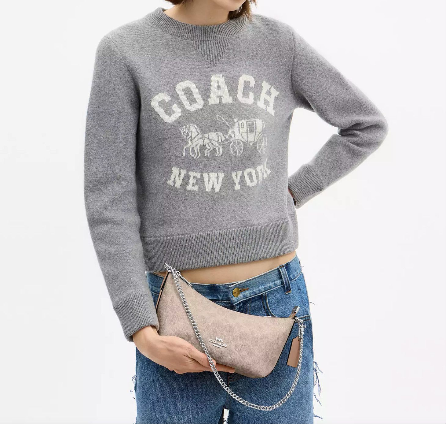 Coach Caitlin Shoulder Bag In Signature Canvas CEK80 Size ONE SIZE - 8 Thumbnail
