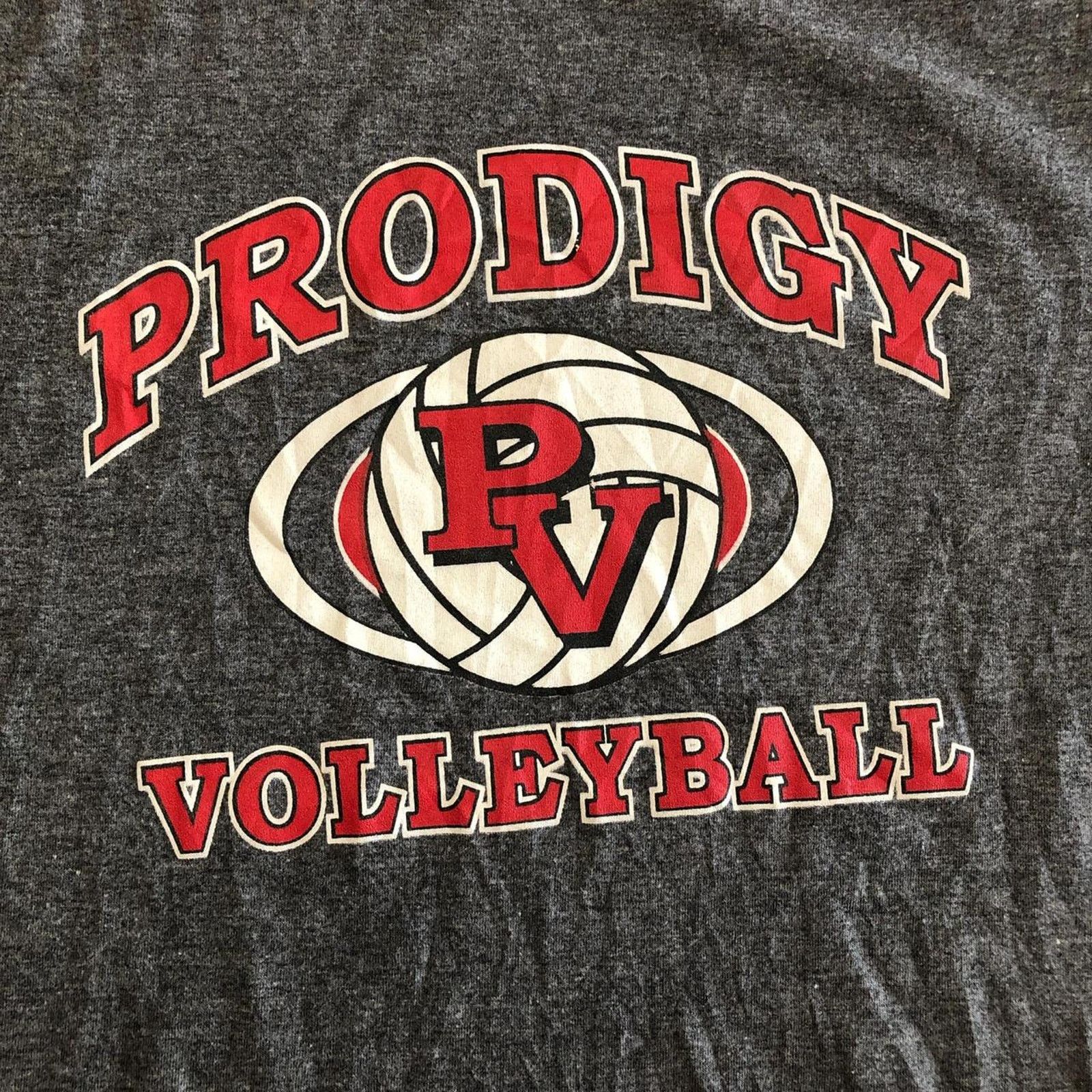Other Grey District Prodigy Volleyball Graphic Tee Size US S / EU 44-46 / 1 - 3 Thumbnail