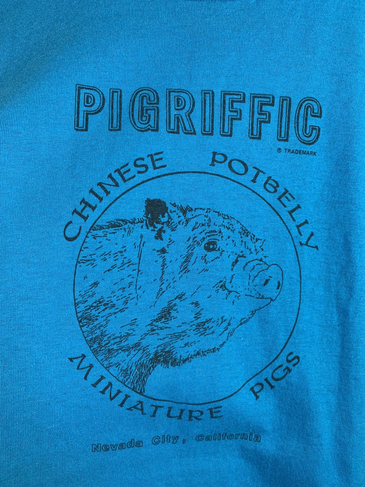Vintage RARE Vintage 80s Pigriffic Potbelly Pigs Nevada City T-Shirt Size US L / EU 52-54 / 3 - 3 Thumbnail