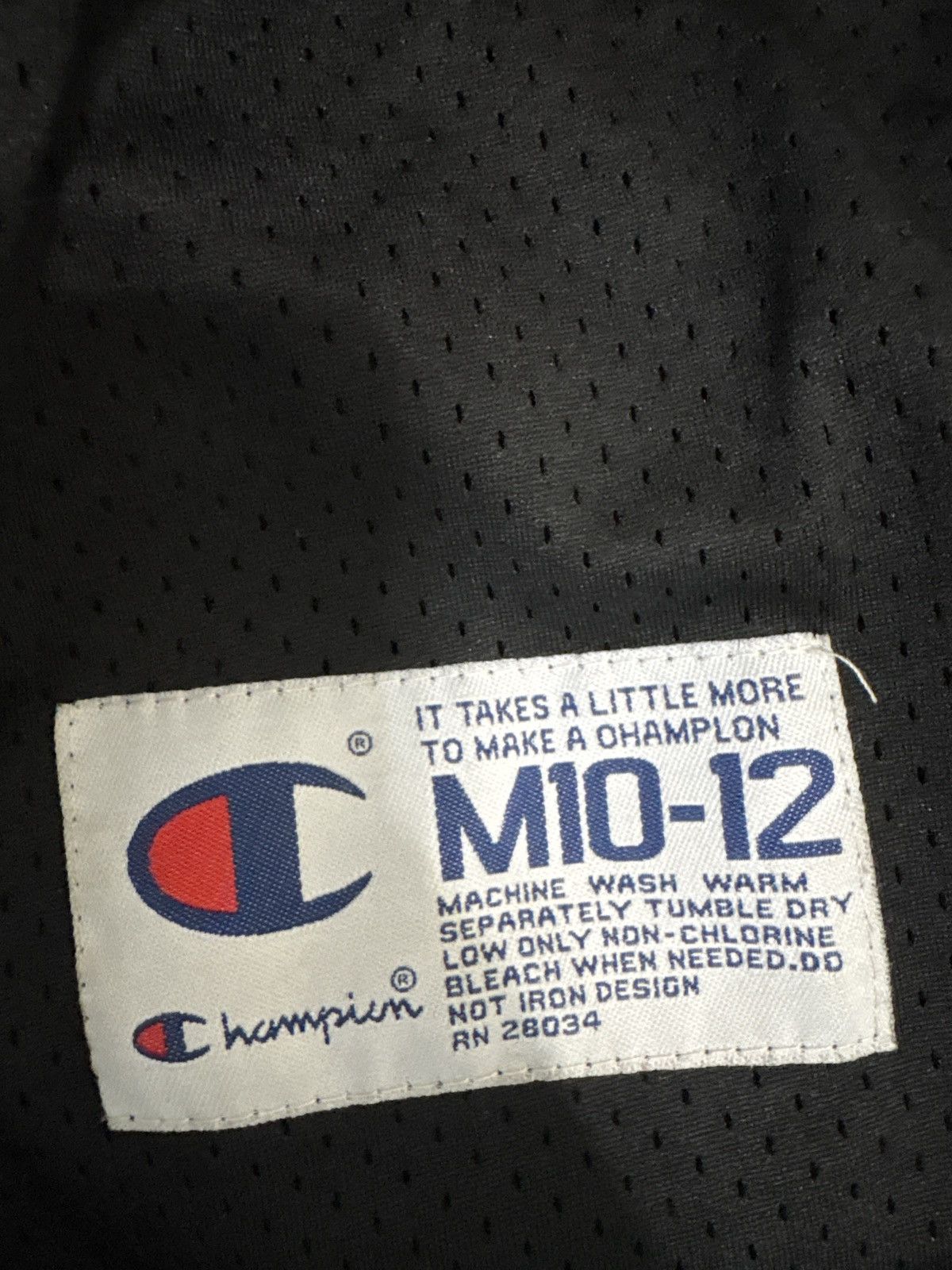 Champion Tune Squad Tasmanian devil jersey Size US M / EU 48-50 / 2 - 3 Thumbnail