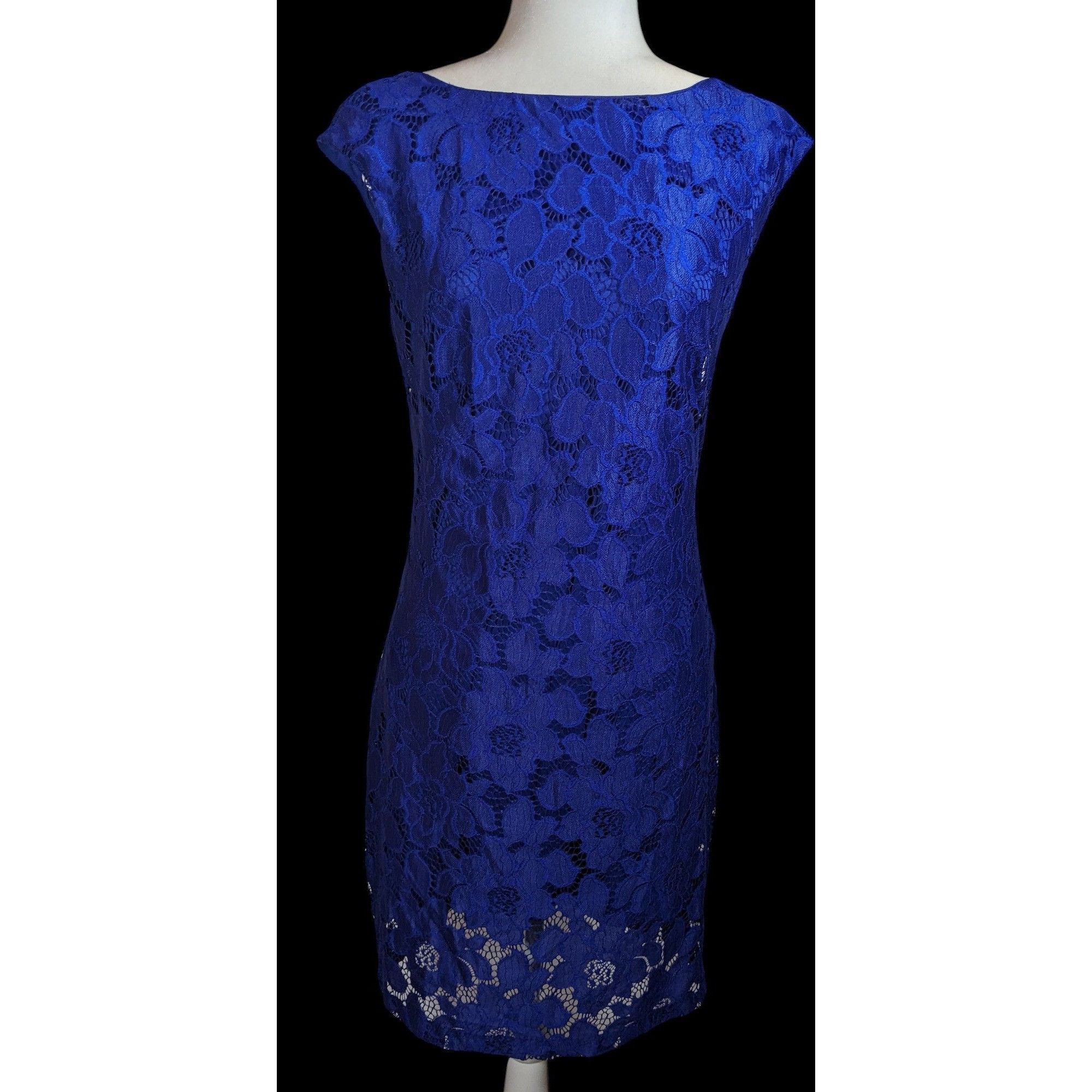 Chaps Chaps Preppy Blue Floral Lace Knee Length Dress