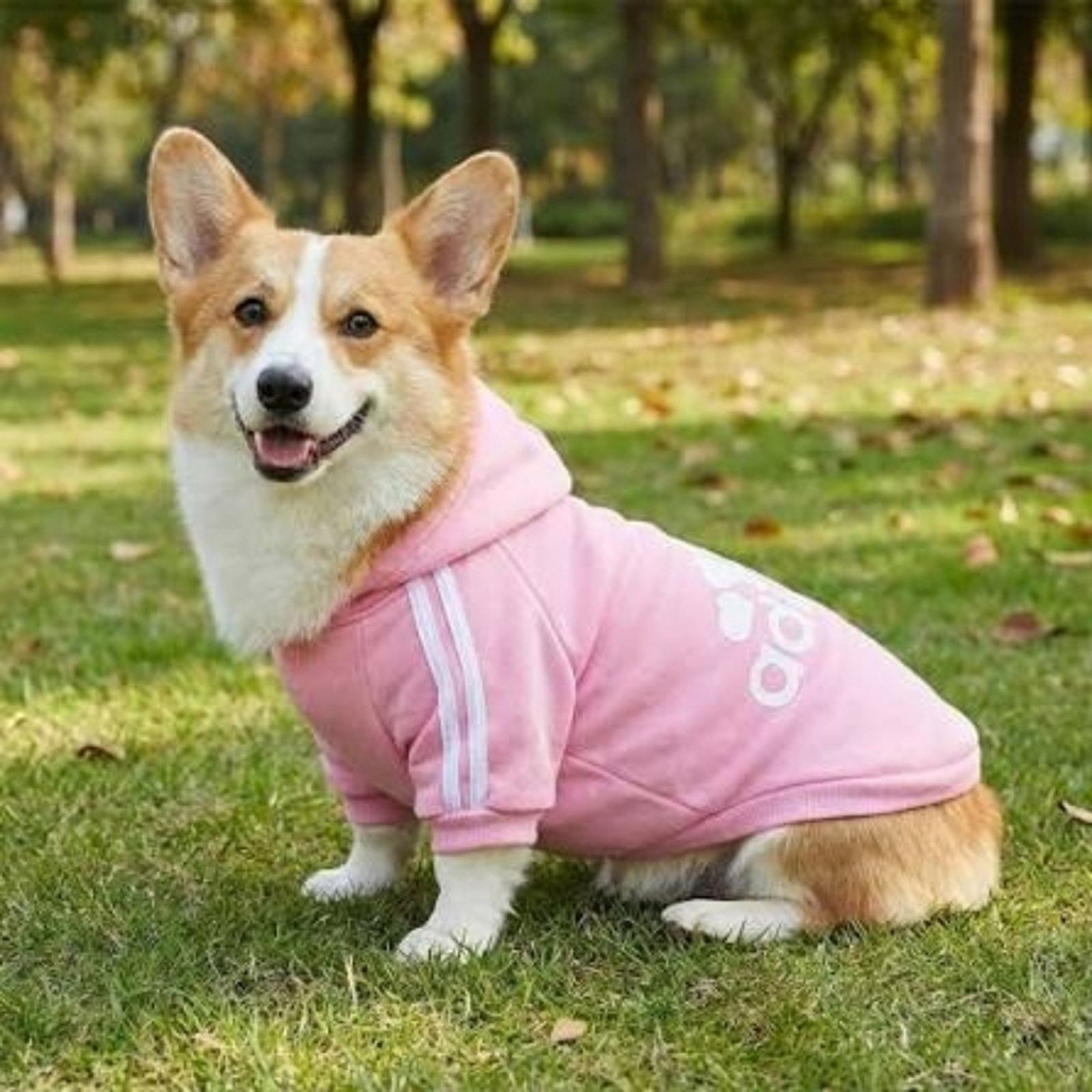 Other Pink | ADIDOG | Dog 2 Hoodie Size ONE SIZE - 4 Thumbnail