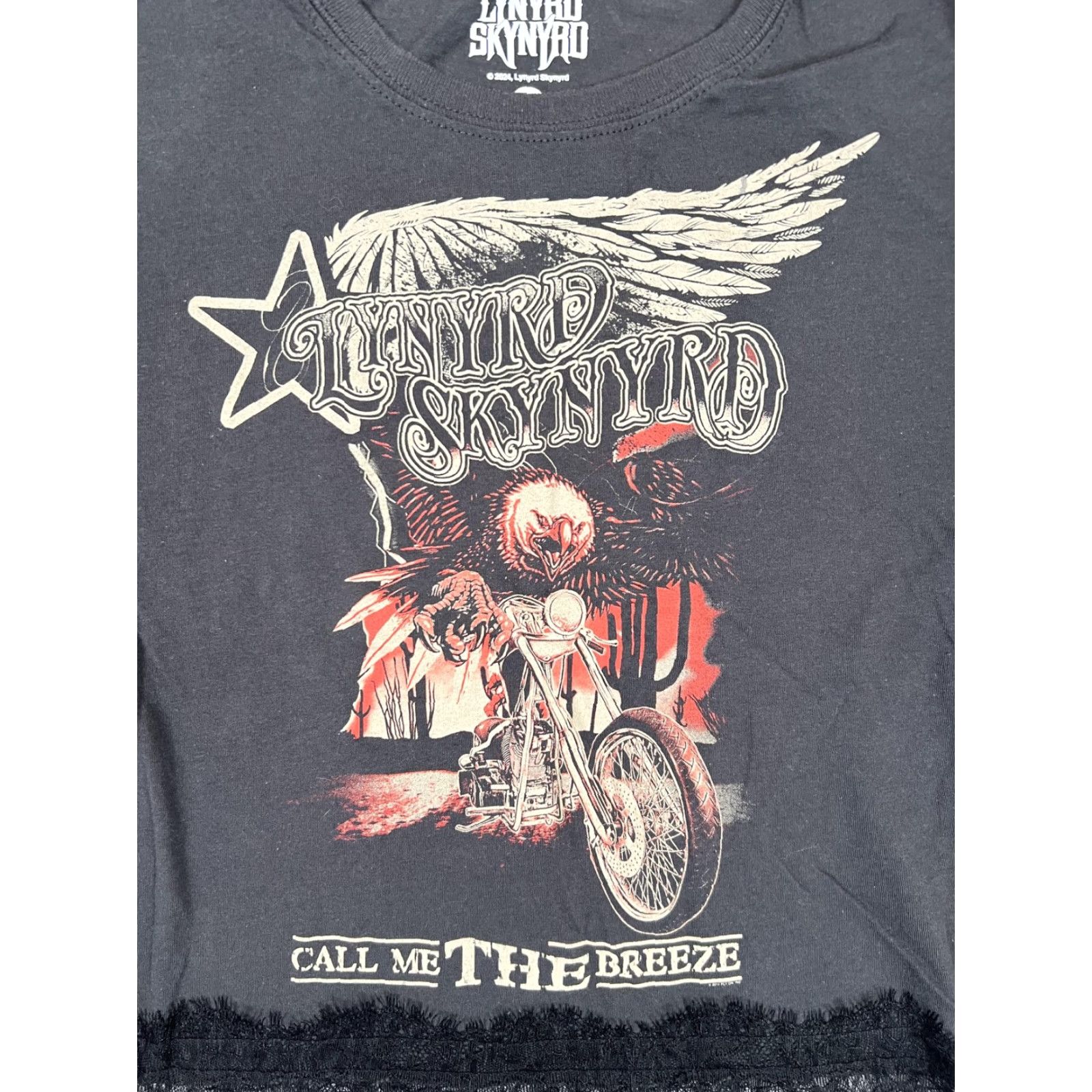 Vintage Lynyrd Skynyrd T-Shirt Women's Medium Black Call Me The Breeze Lace Crop Band Shirt Womens M Crew Neck Short Sleeve Cropped Graphic Rock Casual Size M / US 6-8 / IT 42-44 - 2 Thumbnail