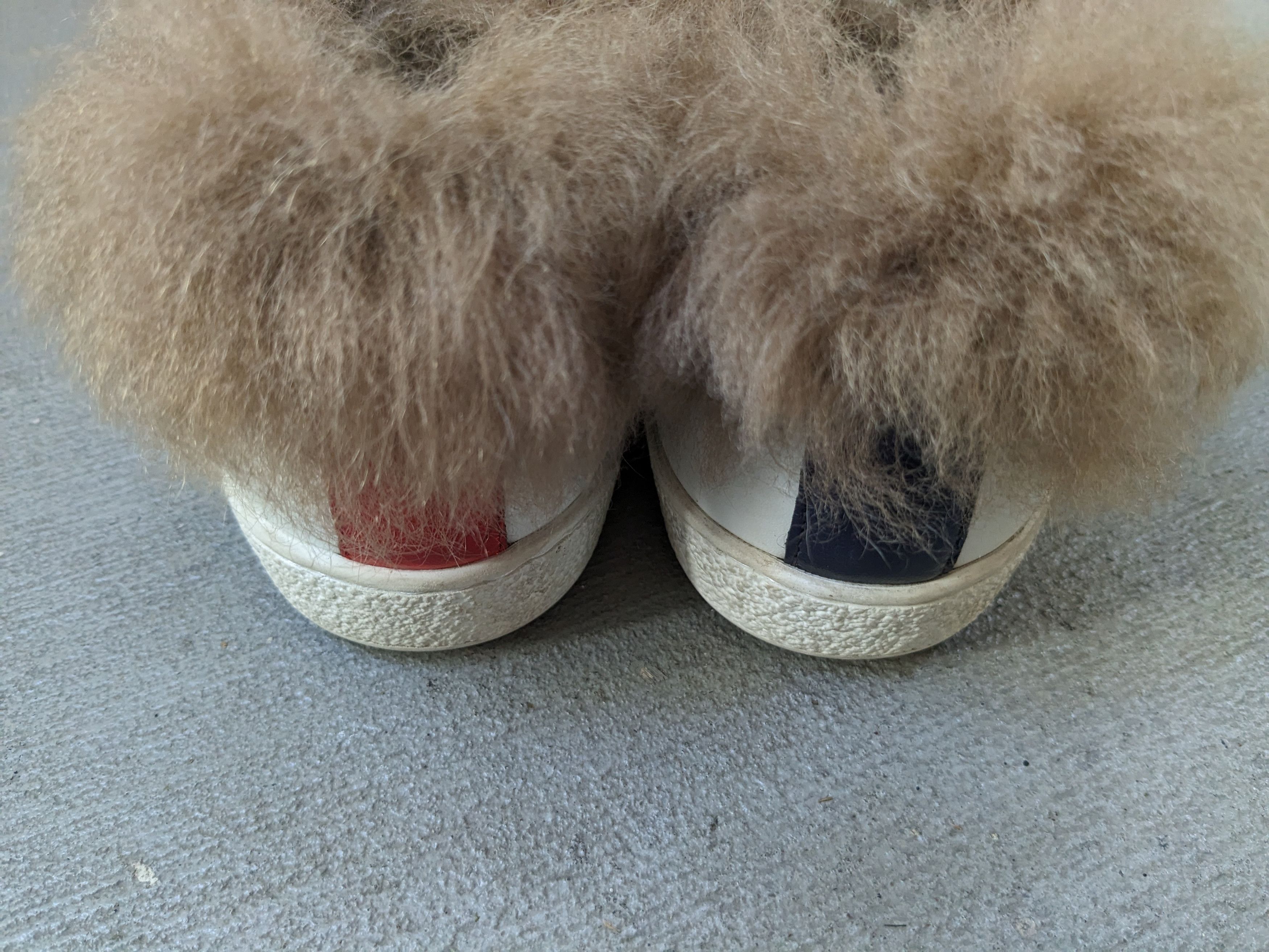 Gucci Women's Gucci Ace Sneakers Bee White 8 Low Top Fur Shearling Size US 8 / IT 38 - 10 Thumbnail
