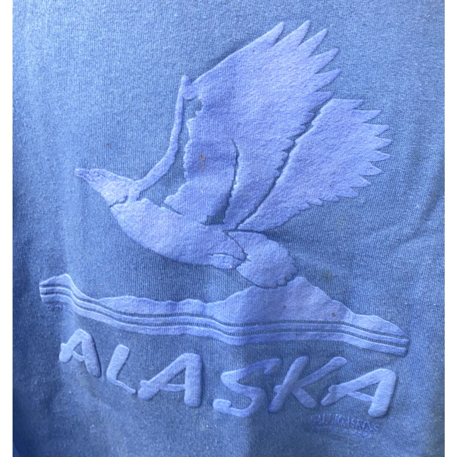 Hanes VINTAGE Hanes Activewear Sweatshirt Alaska Fleece Lined Blue Size XL Mens Size US XL / EU 56 / 4 - 2 Thumbnail