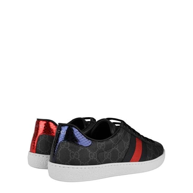 Gucci GUCCI Ace Gg Supreme Trainers Size US 9 / EU 42 - 5 Thumbnail