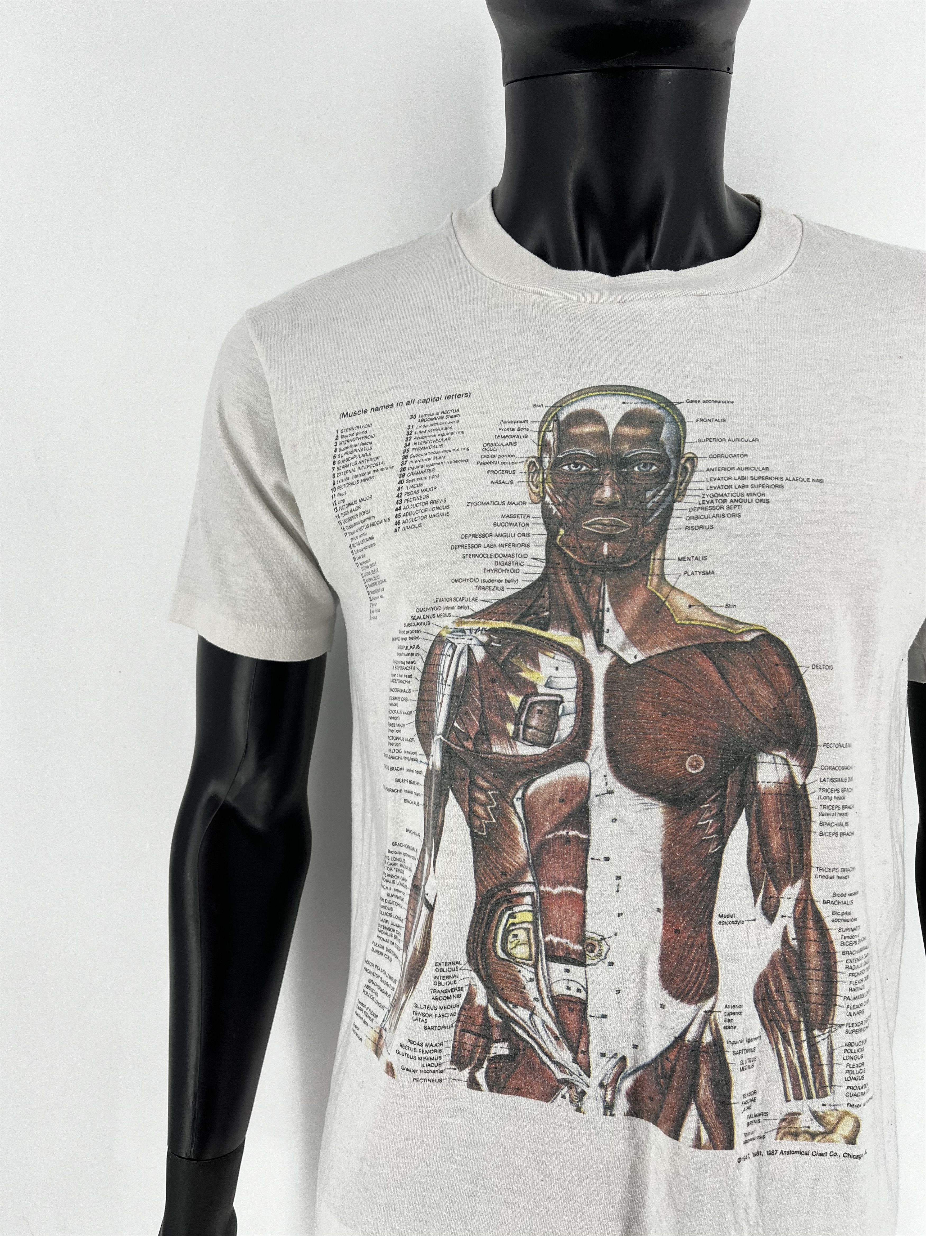 Nirvana Anatomy Muscle Shirt Same Print as Kurt Cobain Rare Medical Size US L / EU 52-54 / 3 - 6 Thumbnail