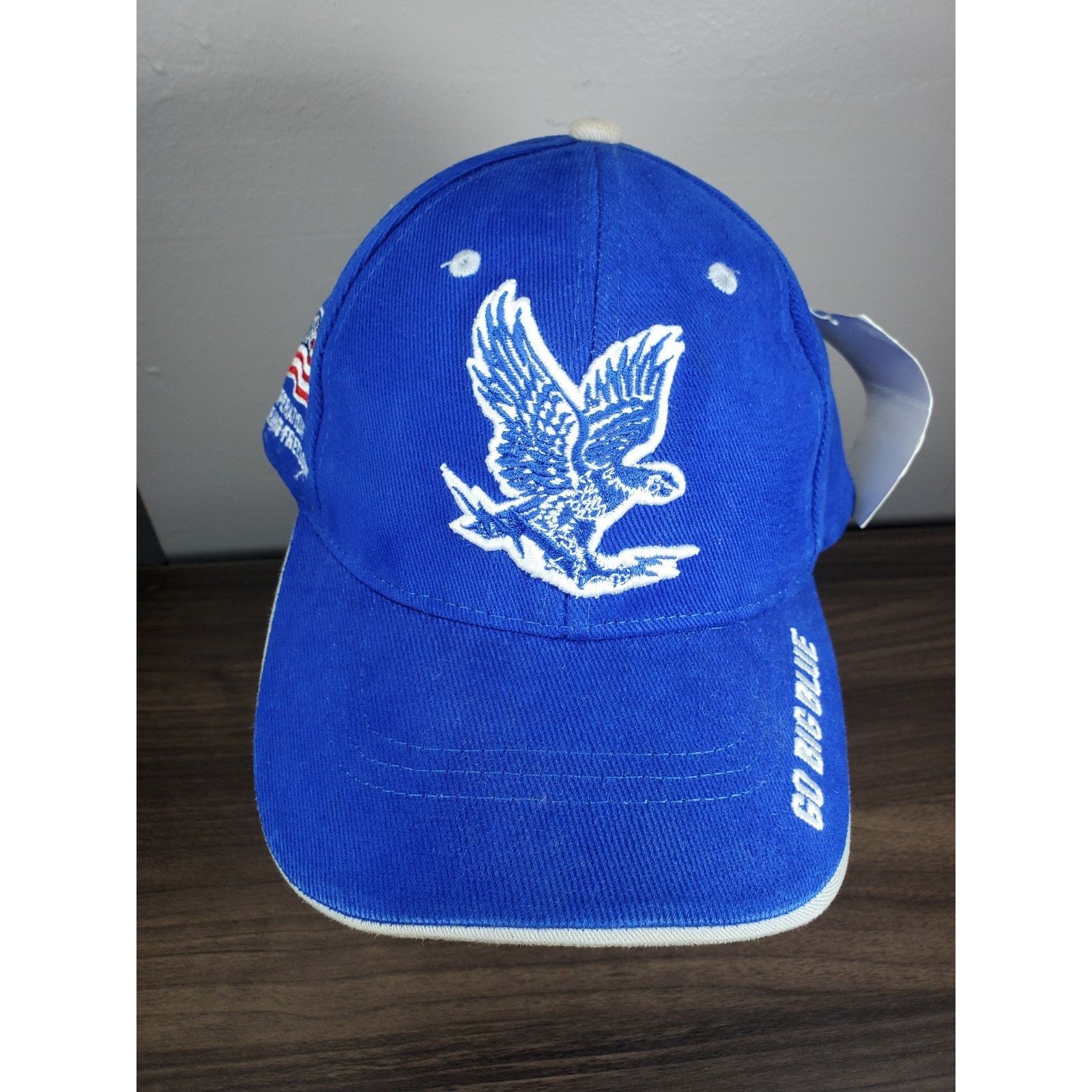 Colosseum Athletics × NCAA Air Force Falcons Hat Cap GO BIG BLUE Enduring Freedom Size ONE SIZE - 2 Thumbnail