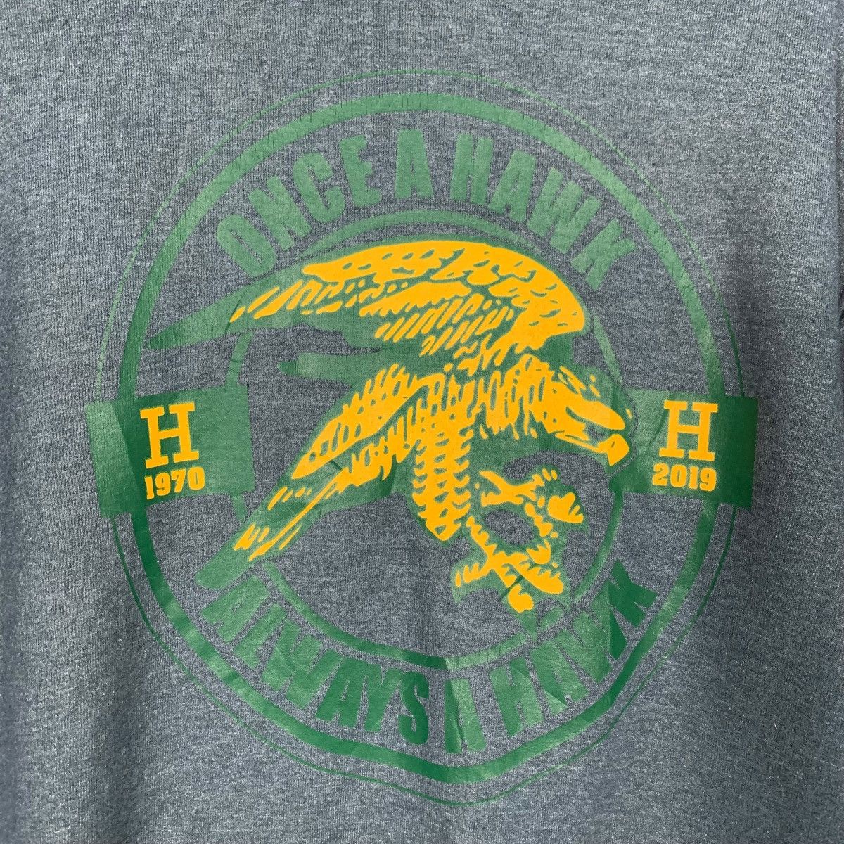 Gildan HARRISON Hawk Graphic Crewneck Sweatshirt #2420-C108 Size US M / EU 48-50 / 2 - 10 Thumbnail