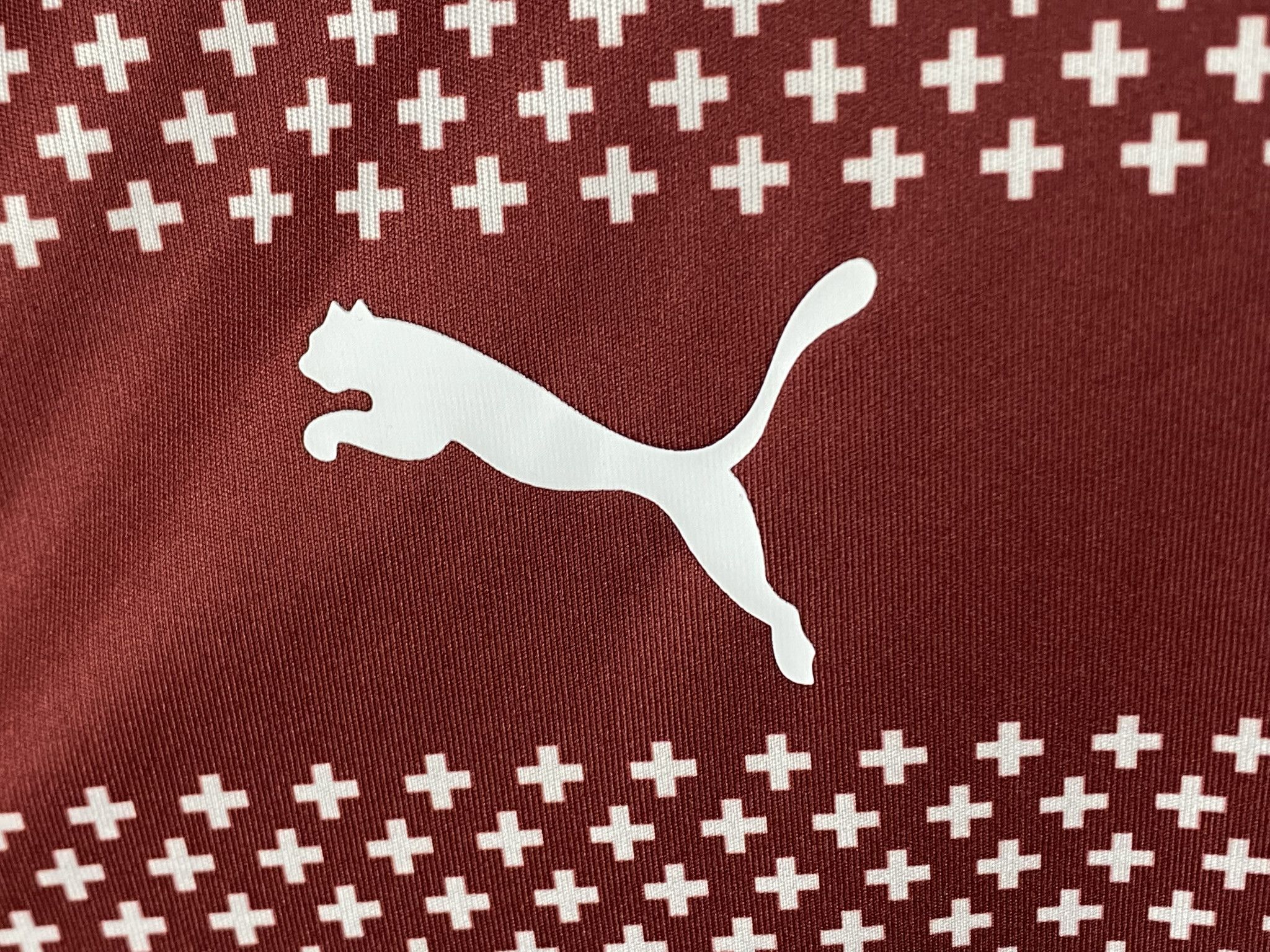 Puma SWITZERLAND 2019 2020 TRAINING FOOTBALL SHIRT SOCCER JERSEY Size US L / EU 52-54 / 3 - 5 Thumbnail