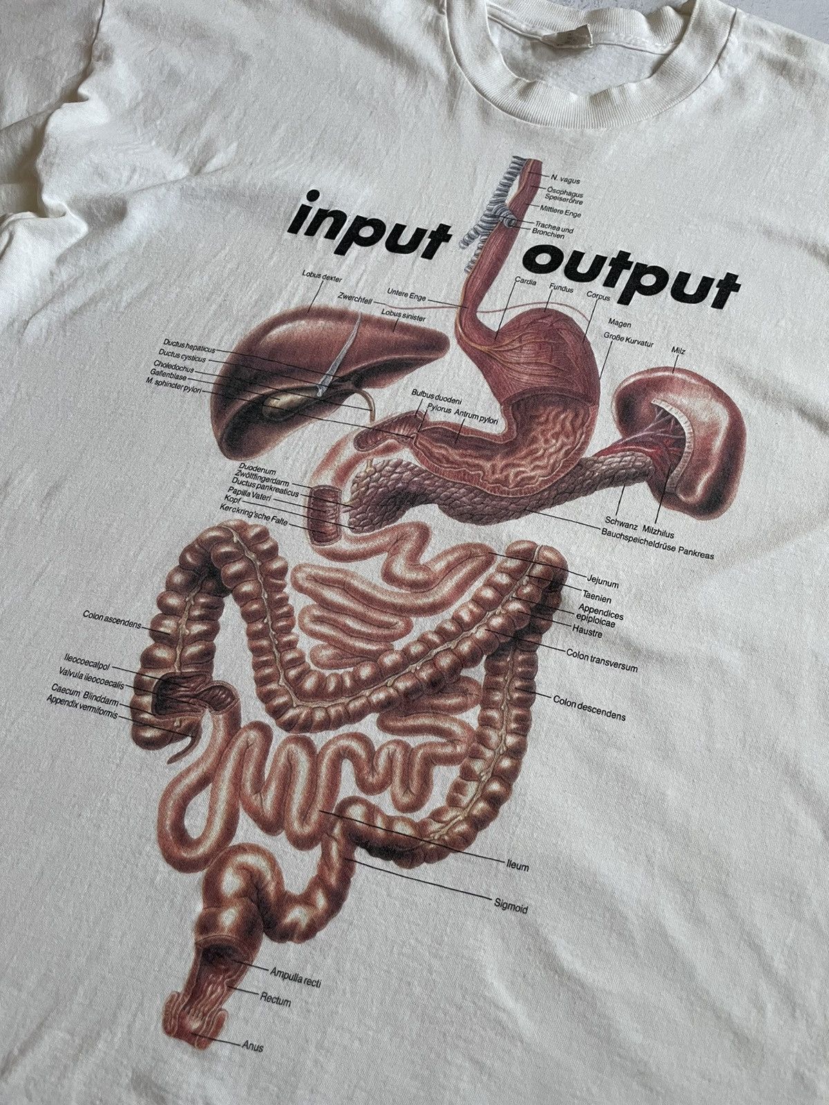 Vintage Vintage Anatomy “Input & Output” Digestive System 90s Rare Size US XL / EU 56 / 4 - 2 Thumbnail