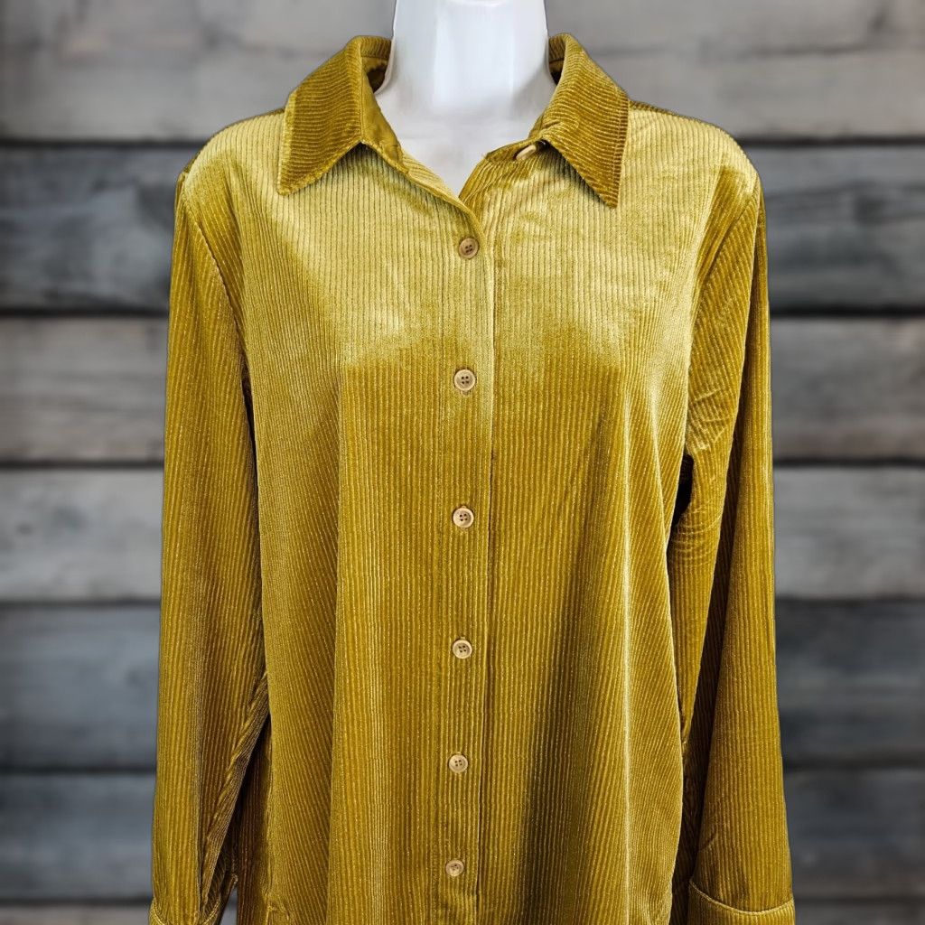 Soft Surroundings Soft Surroundings Velvet Boyfriend Tunic Womens Medium Long Sleeve Green Shirt Size M / US 6-8 / IT 42-44 - 1 Thumbnail