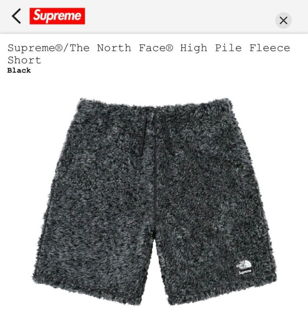 Supreme SS23 Supreme x The North Face High Pile Fleece Shorts | Grailed