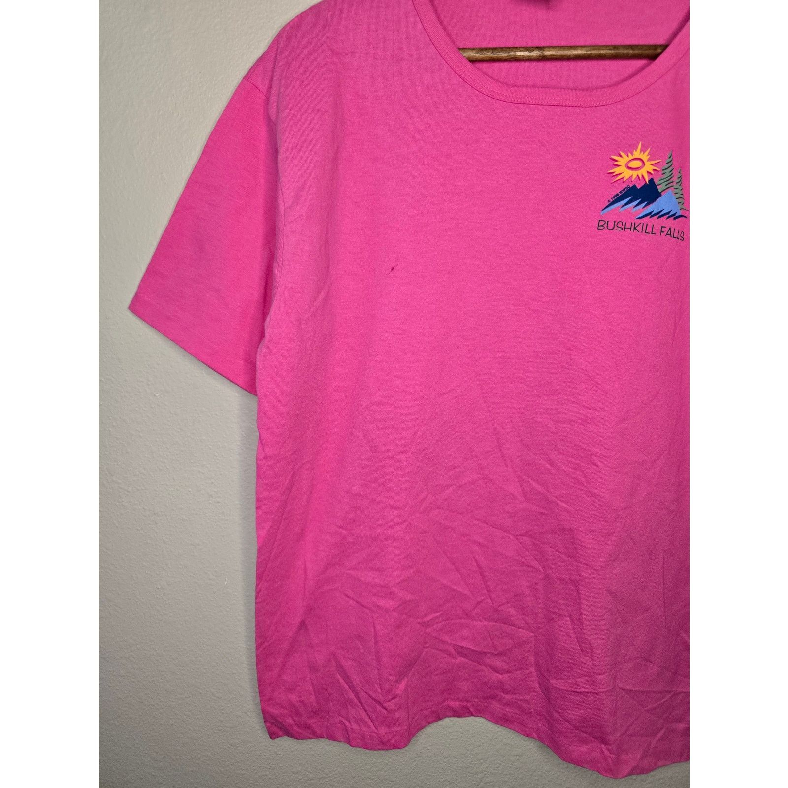 Anvil × Vintage Vintage Bushkill Falls Pennsylvania Boat Neck L Pink Tee Size L / US 10 / IT 46 - 4 Thumbnail