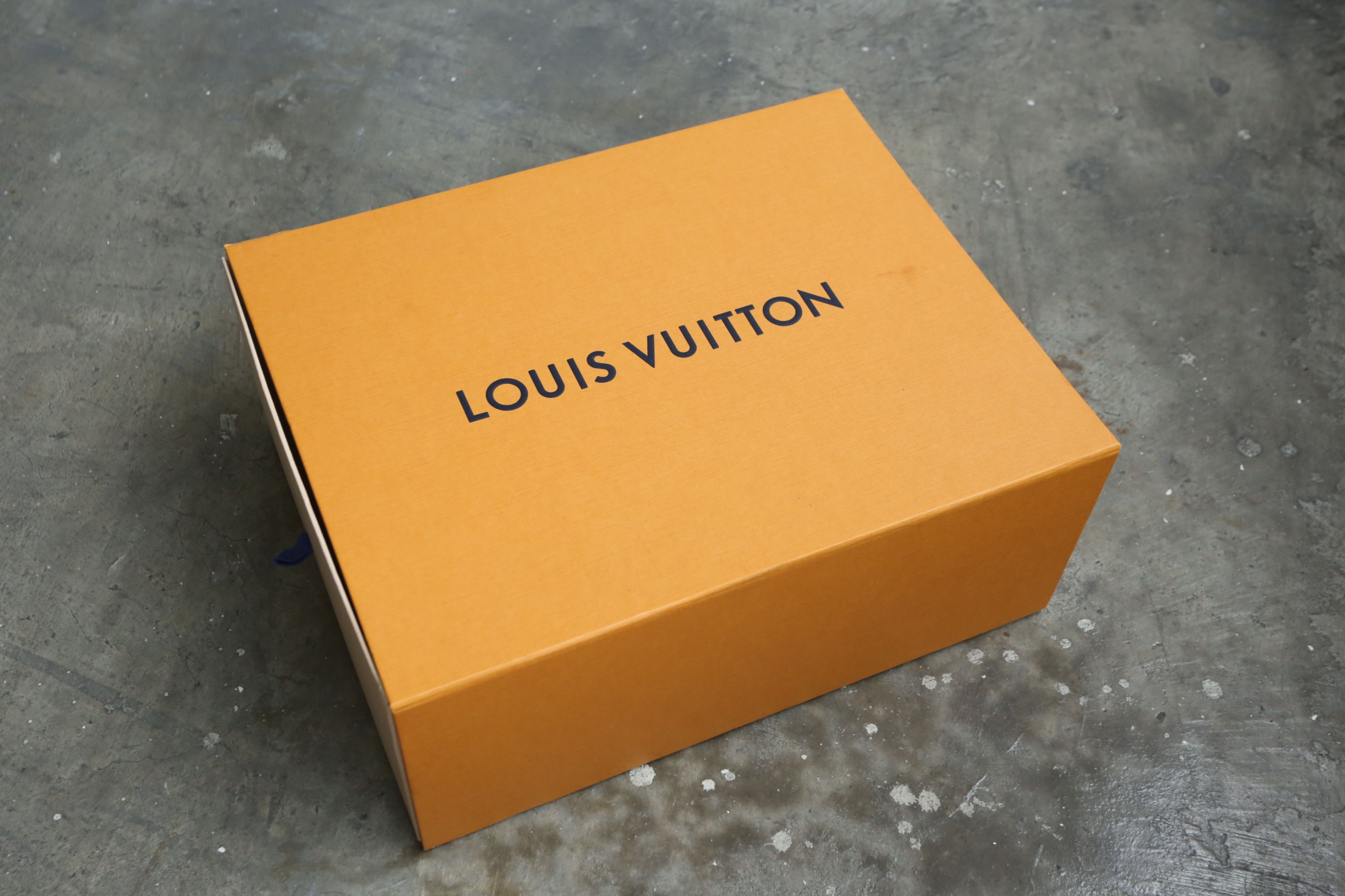 LV - VA - S/S 22 - Taurillon Illusion Ollie Sneakers