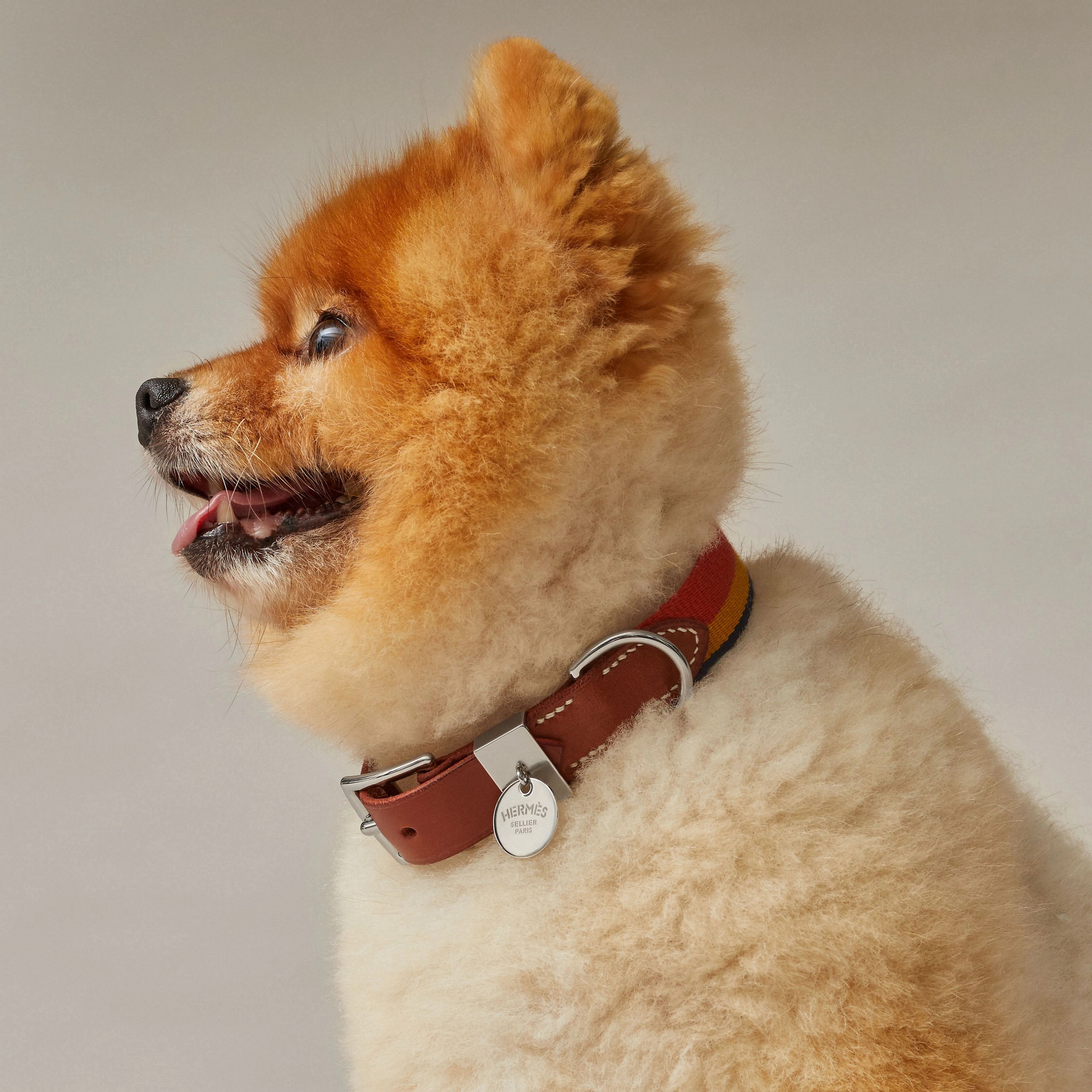 Hermes Hermes Rocabar III dog collar Size ONE SIZE - 1 Thumbnail