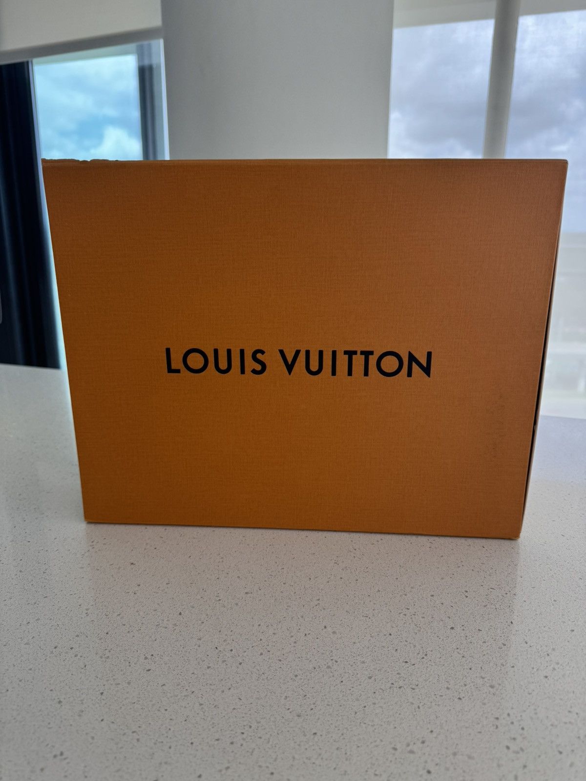 Louis Vuitton × Tyler The Creator Tyler The Creator Louis Vuitton Trainer Beige Size US 13 / EU 46 - 7 Thumbnail
