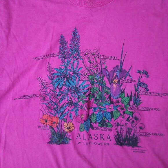 Fruit Of The Loom × Vintage Vintage 90s Alaska Wildflowers Illustration T-Shirt Size XL / US 12-14 / IT 48-50 - 1 Thumbnail
