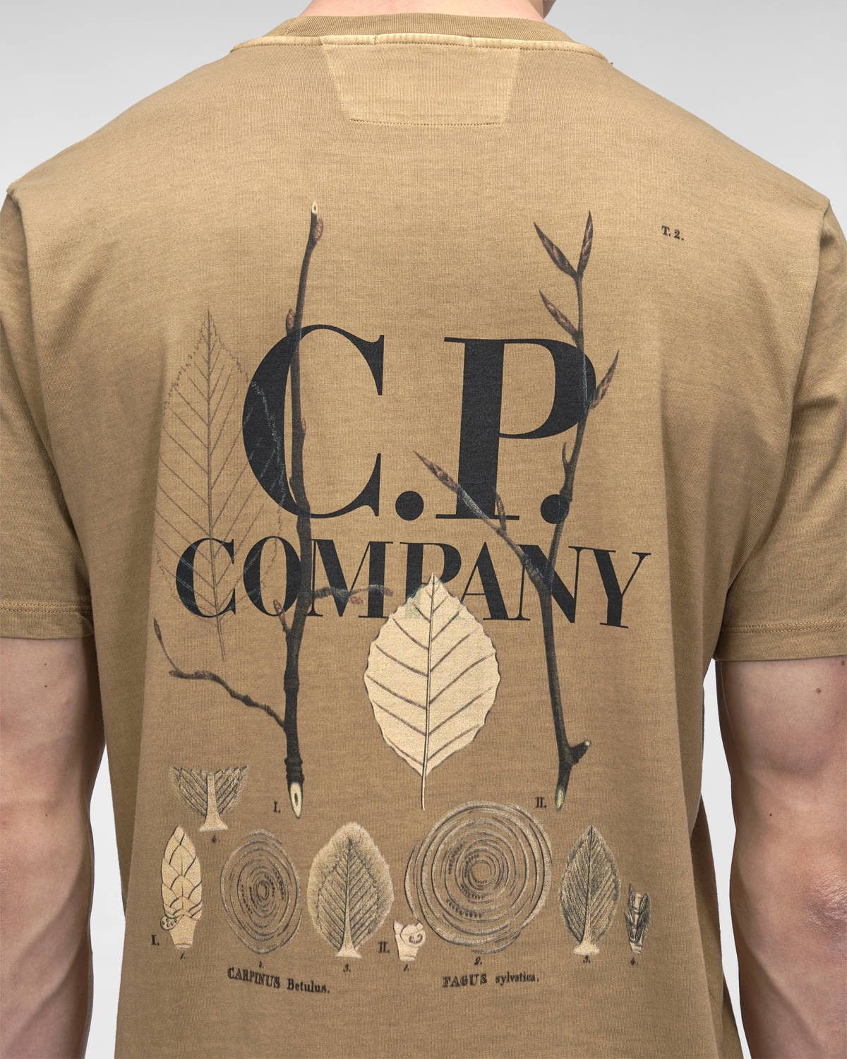 C.P. Company o1y1224 Logo Crewneck T-Shirt in Light Brown Size US XS / EU 42 / 0 - 2 Thumbnail