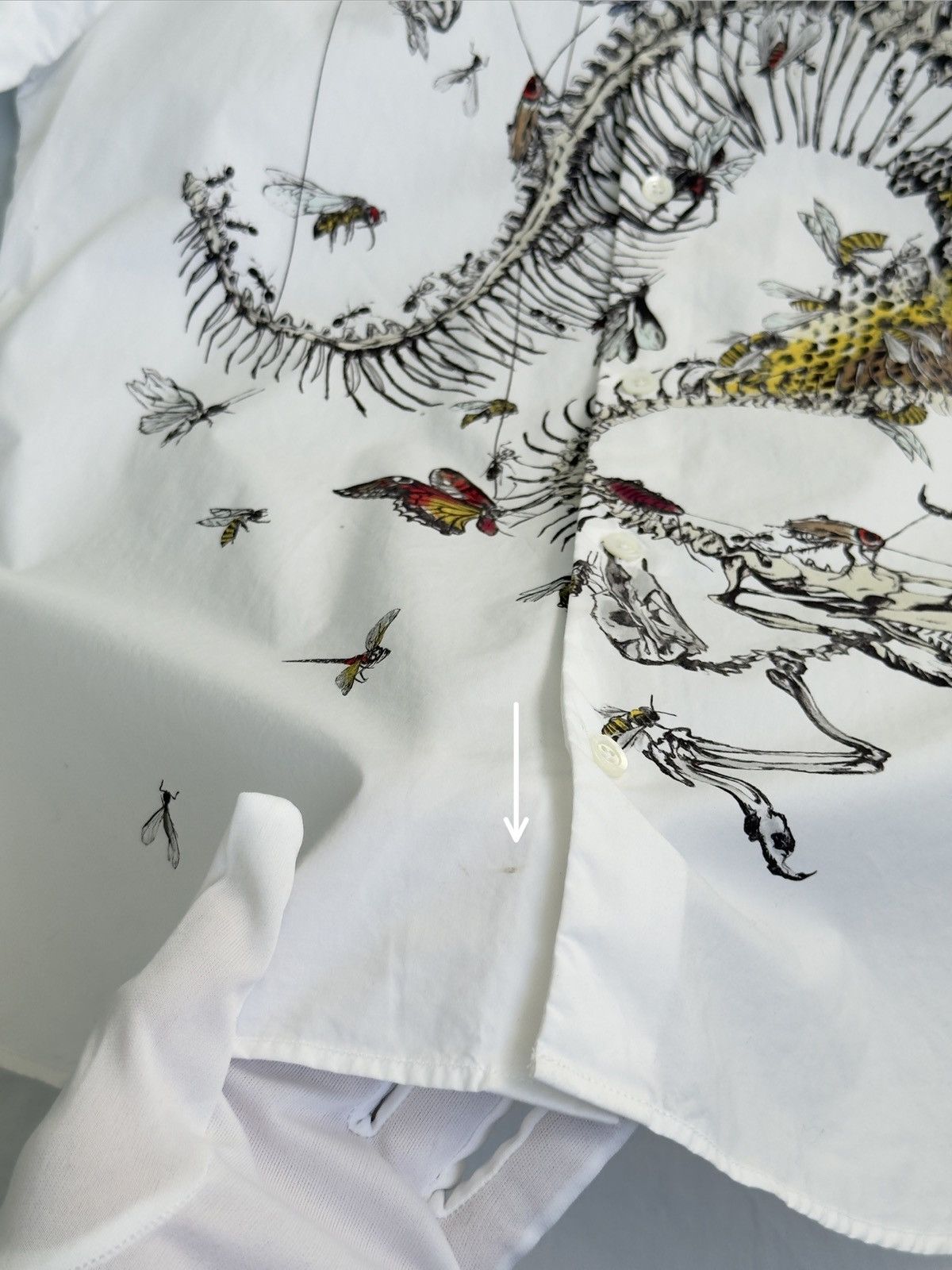 Alexander McQueen Alexander Mcqueen Men Shirt Size ITA50/Slim Medium Size US M / EU 48-50 / 2 - 10 Thumbnail