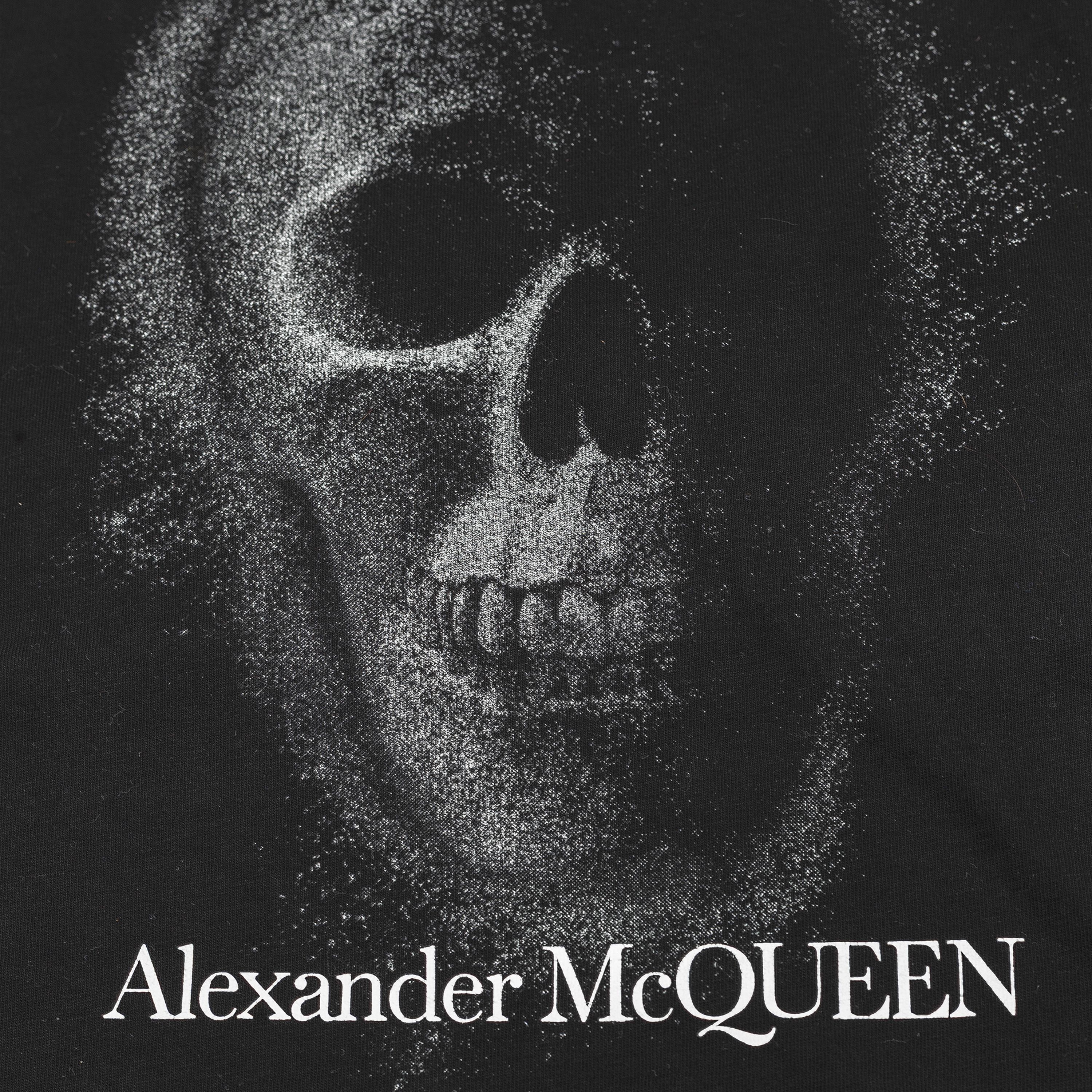 Alexander McQueen Alexander McQueen Faded Skull-Print Cotton-Jersey T-Shirt Size US M / EU 48-50 / 2 - 3 Thumbnail