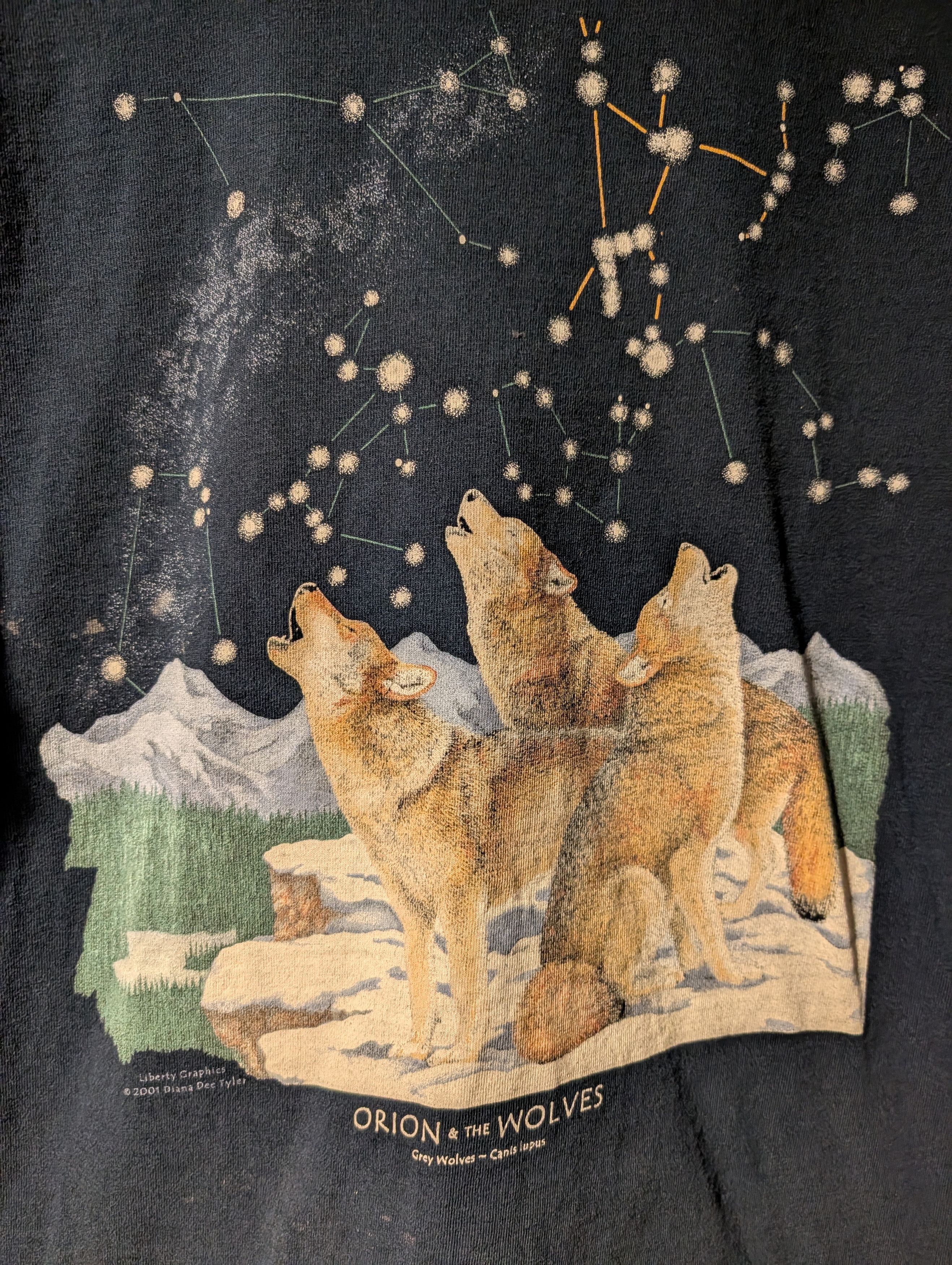 Arts & Science Vintage Alore Orion & The Wolves T-Shirt Celestial Stars Size US L / EU 52-54 / 3 - 2 Thumbnail