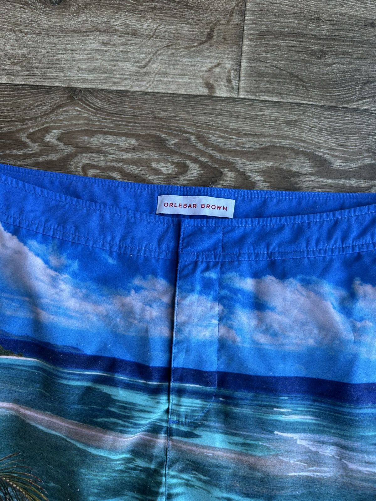 Orlebar Brown 🔥 RARE Orlebar Brown Bulldog Art Print Swim Shorts Trunks Size US 36 / EU 52 - 3 Thumbnail