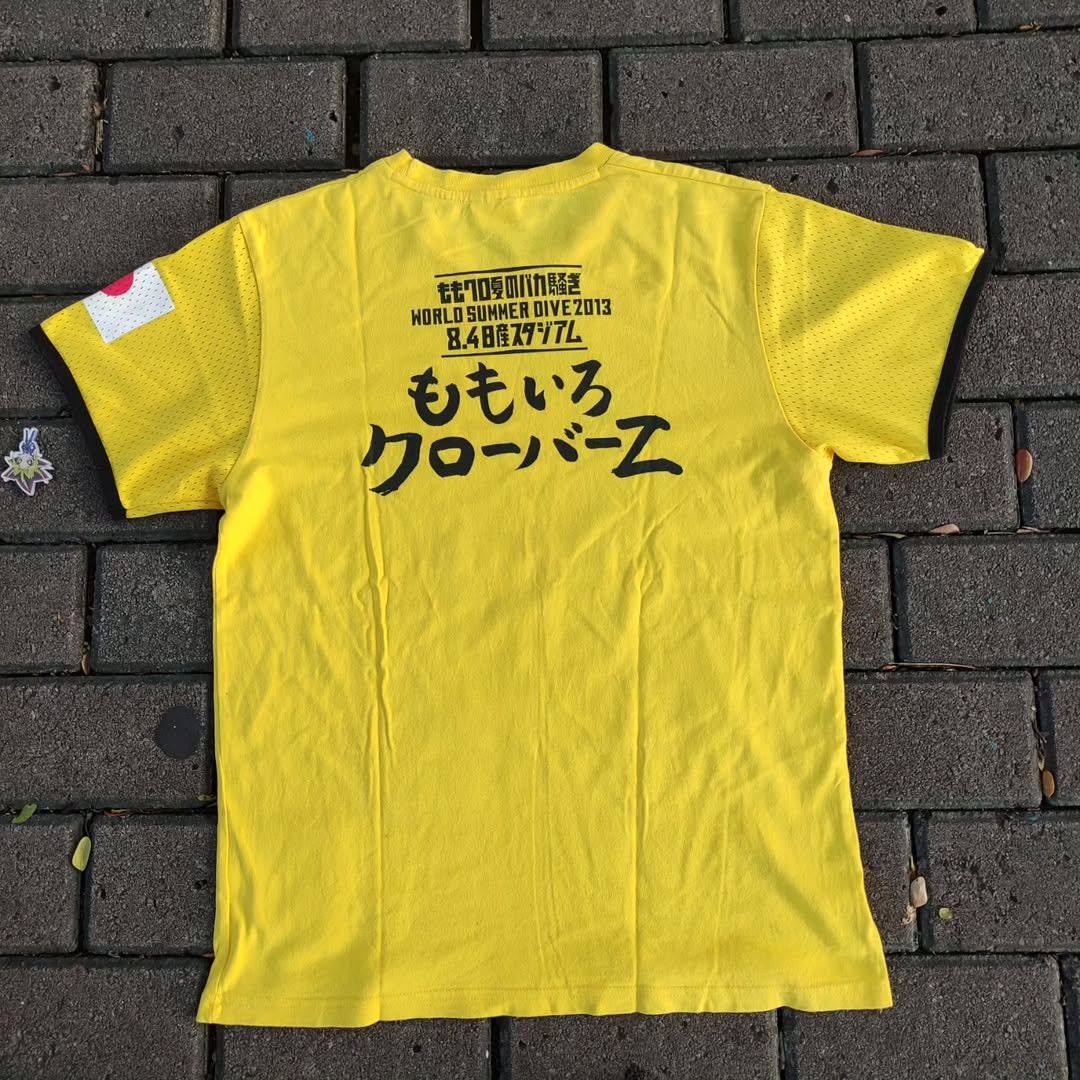 Band Tees Momoiro Clover Z Shiori Tamai Live 2013 Tee Size US M / EU 48-50 / 2 - 2 Thumbnail