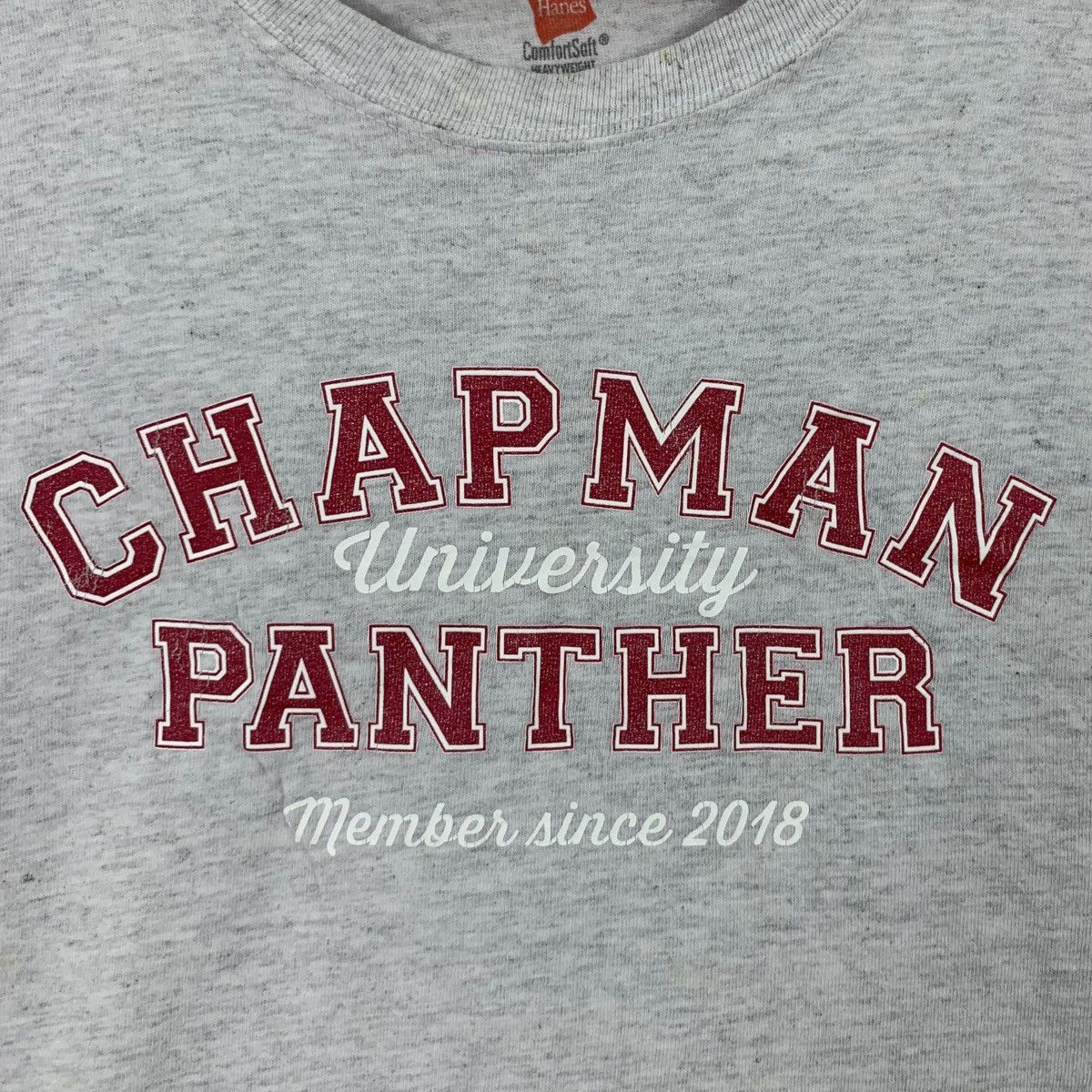 Hanes CHAPMAN PANTHER UNIVERSITY Athletic Club Tee Shirt Size US L / EU 52-54 / 3 - 3 Thumbnail
