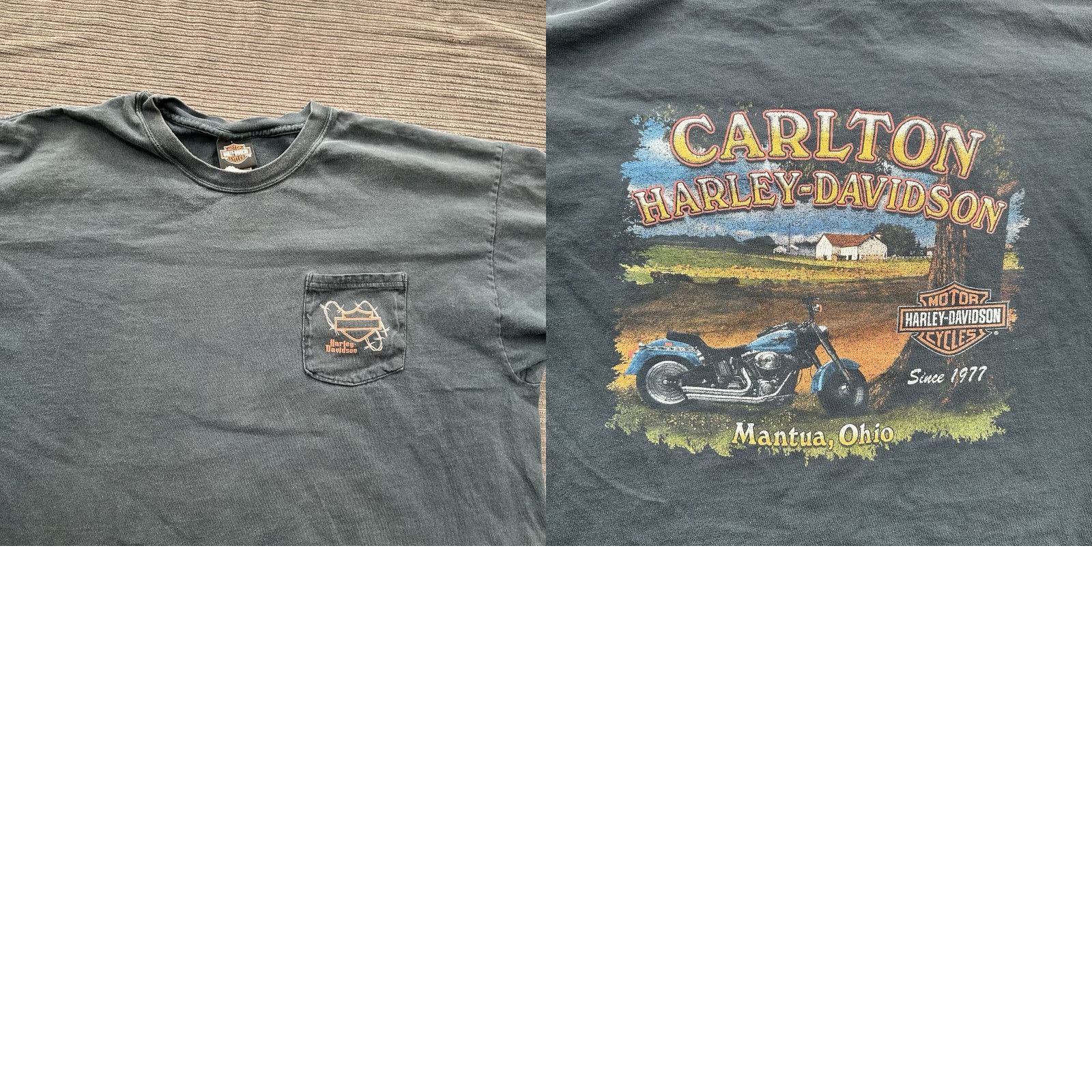 Harley Davidson Harley-Davidson T Shirt Men 2XL Black Cotton Logo Crew Neck Motorcycle Shirt Short Sleeve Tee Size US XXL / EU 58 / 5 - 8 Thumbnail