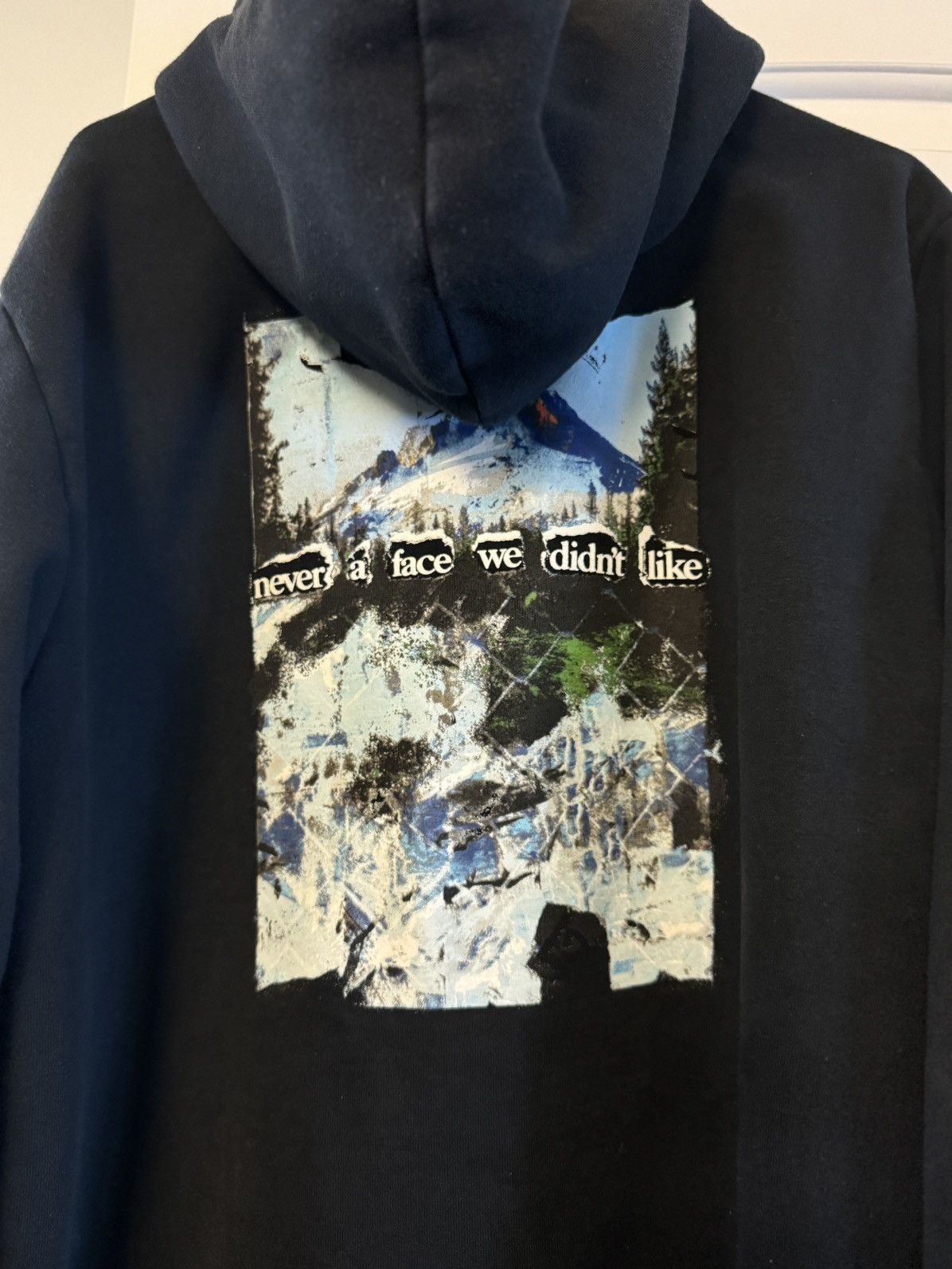 The North Face North Face Hoodie Size US L / EU 52-54 / 3 - 2 Thumbnail
