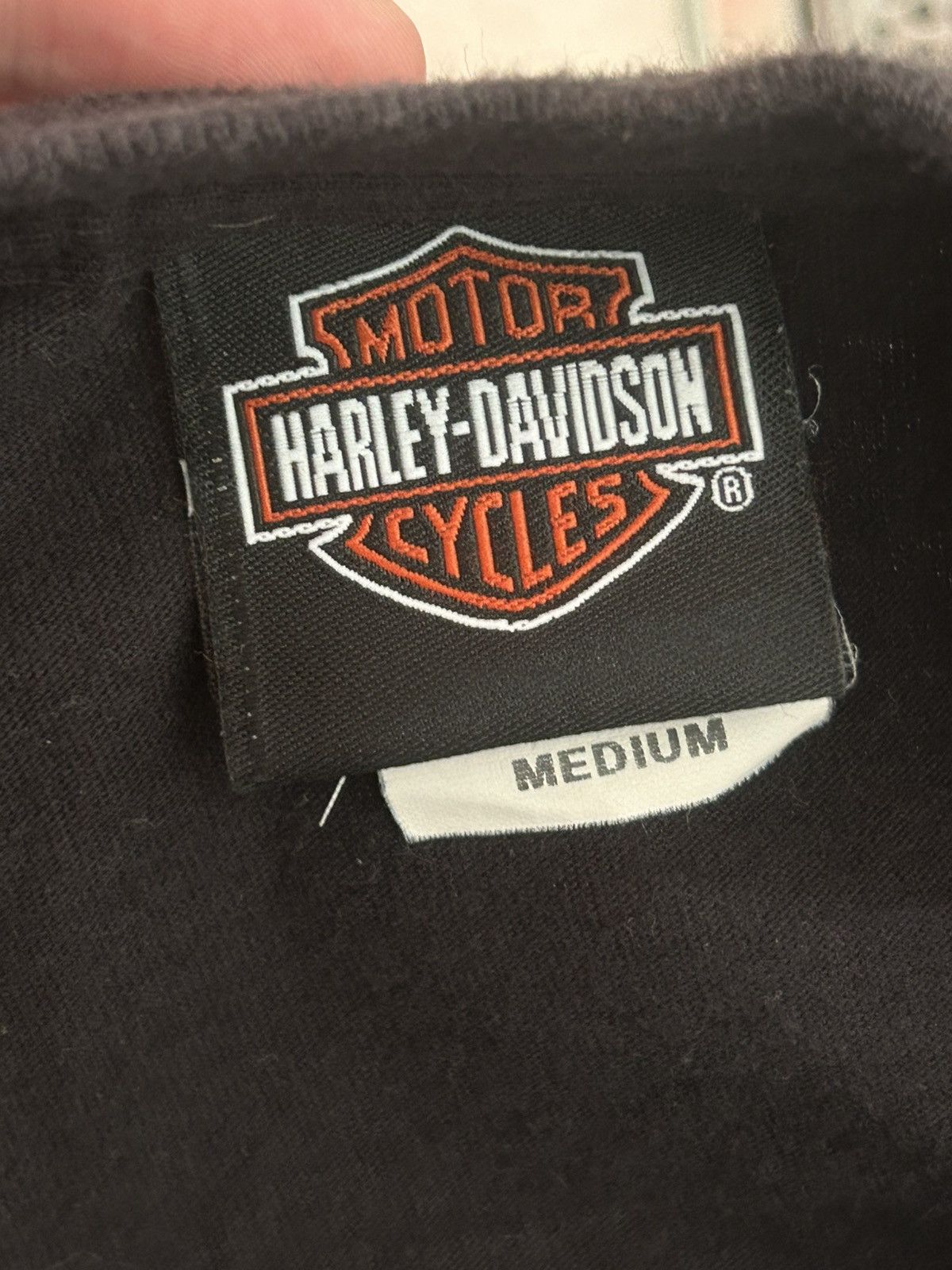 Harley Davidson Harley Davison Alligator Alley Gator Graphic Tshirt Size US M / EU 48-50 / 2 - 6 Thumbnail