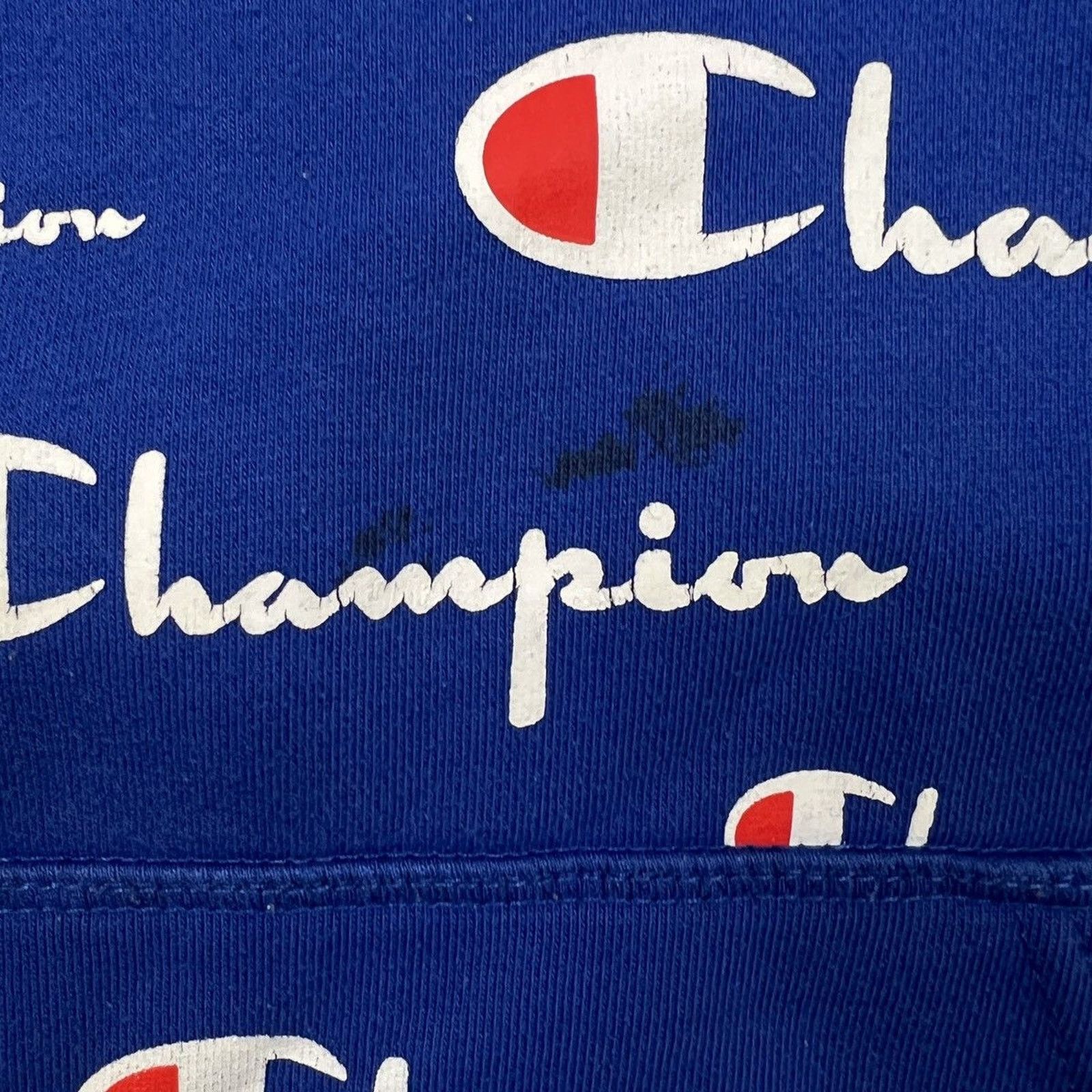 Champion × Vintage Champion Hoodie Authentic Athletic Script Hooded Sweatshirt Size US S / EU 44-46 / 1 - 3 Thumbnail