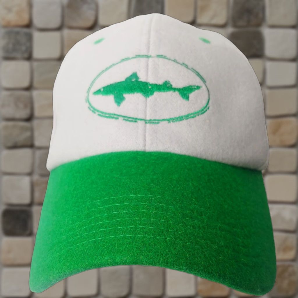 Vintage Dogfish Head Brewery Cap Hat Snap Back Wool Blend Tan Green Craft Beer Brew Baseball Cap Adjustable Men Beige Green Logo Brewer Fans Size ONE SIZE - 1 Thumbnail