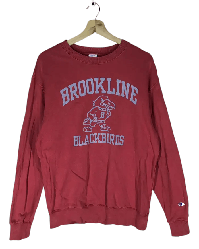 Champion Vintage Champion X Brookline Blackbirds Sweatshirts Size US L / EU 52-54 / 3 - 1 Thumbnail