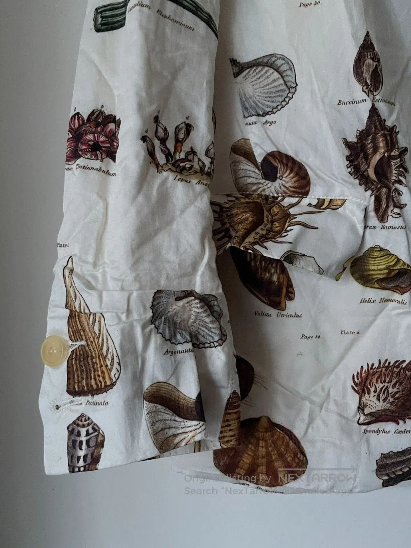 Paul Harnden Shoemakers Paul Harnden Shell Print Blazer Jacket. Size US M / EU 48-50 / 2 - 4 Thumbnail