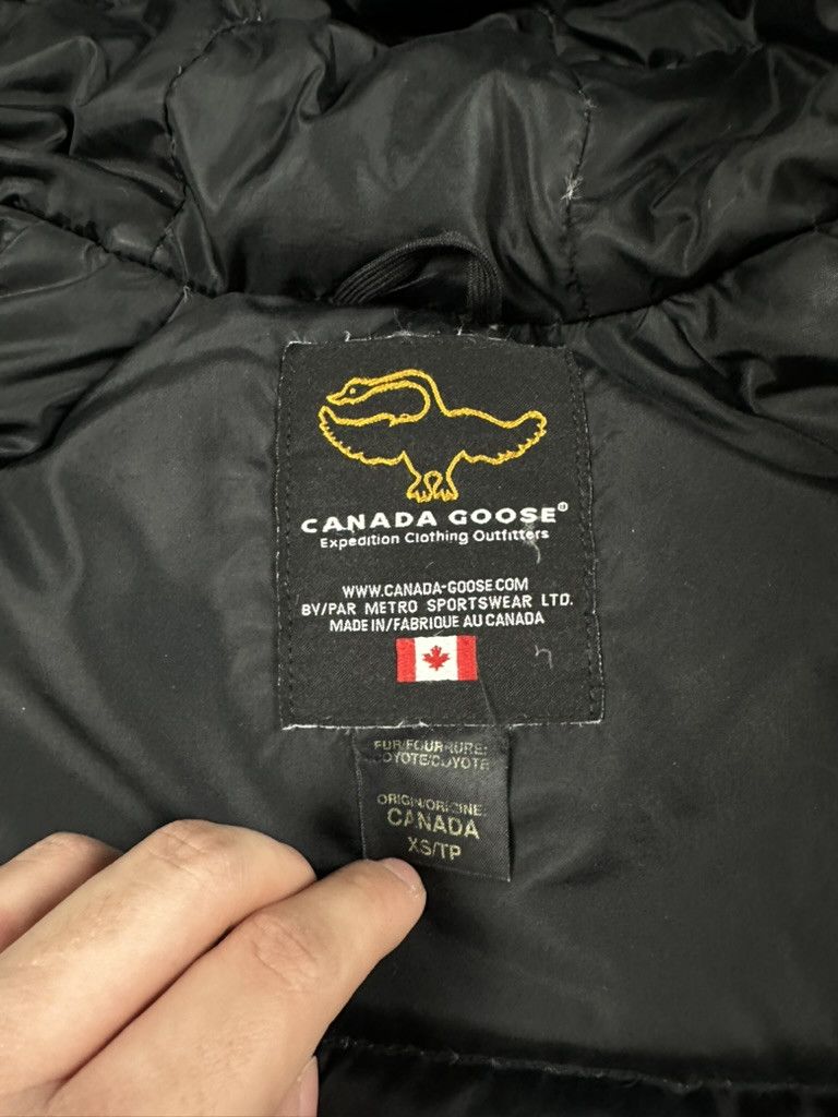 Canada Goose Canada Goose Chillwack Bomber Fur Hood Winter Jacket Size US XS / EU 42 / 0 - 14 Thumbnail