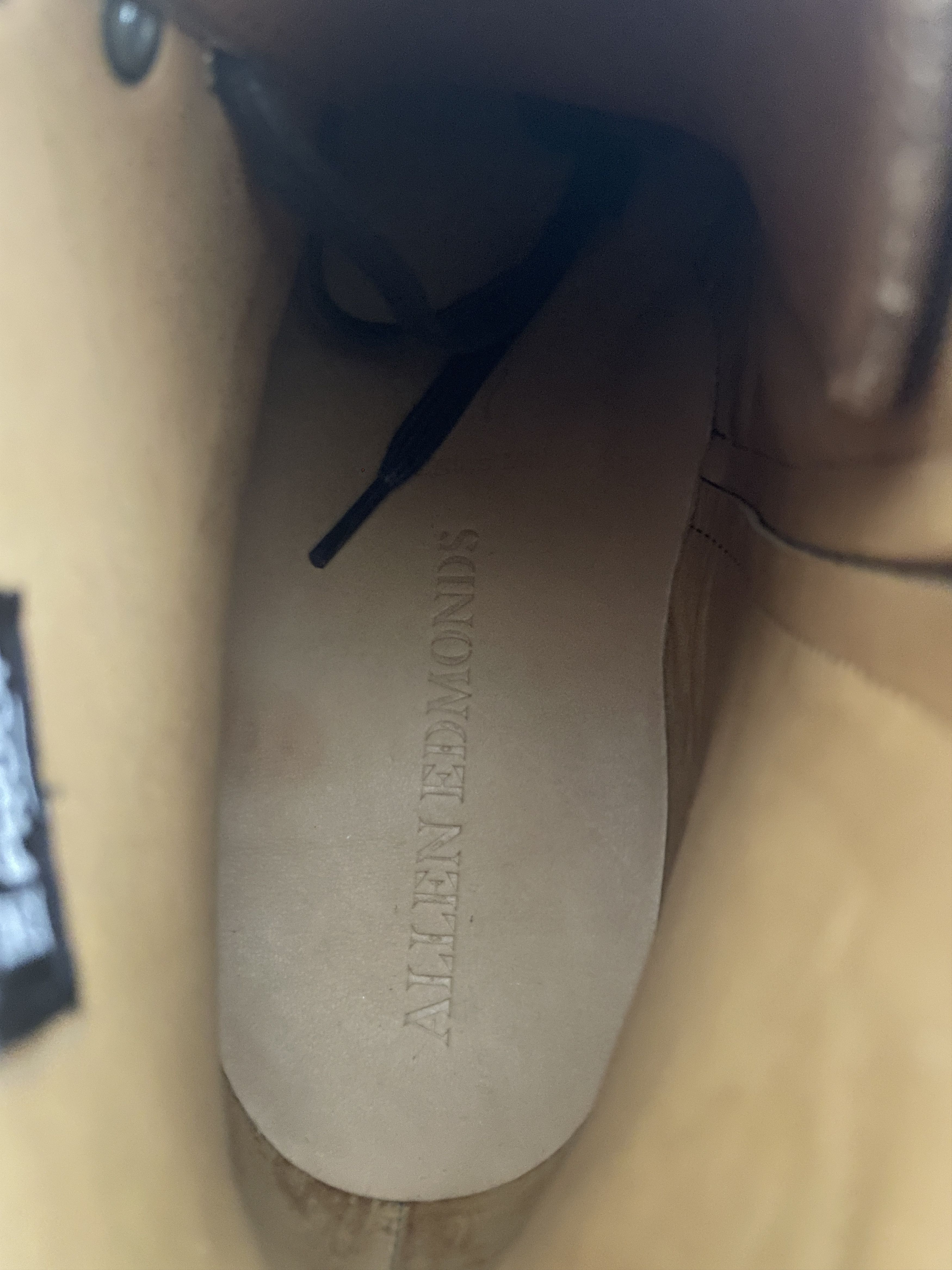 Allen Edmonds Allen Edmonds Leather Higgins Mill Zip Boot with Lug Sole Size US 9.5 / EU 42-43 - 6 Thumbnail