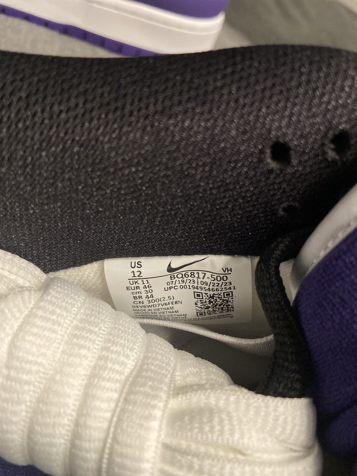 Nike Nike Sb court purple Size US 12 / EU 45 - 6 Thumbnail