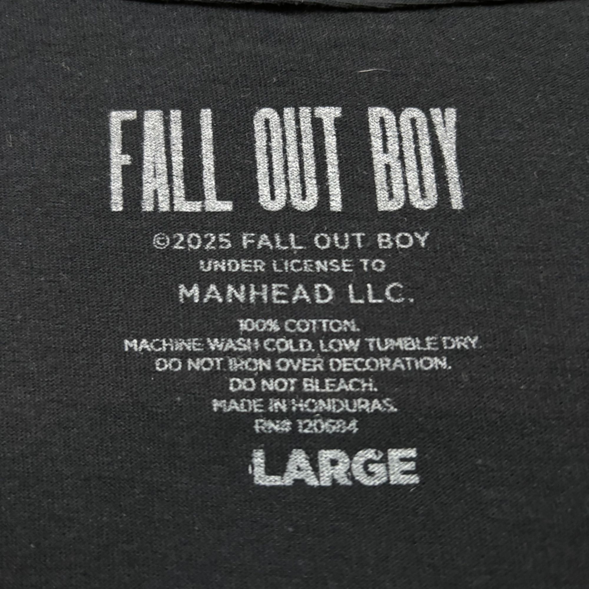 Band Tees Fall Out Boy Take This to Your Grave Rock Band Tee L Size US L / EU 52-54 / 3 - 4 Thumbnail