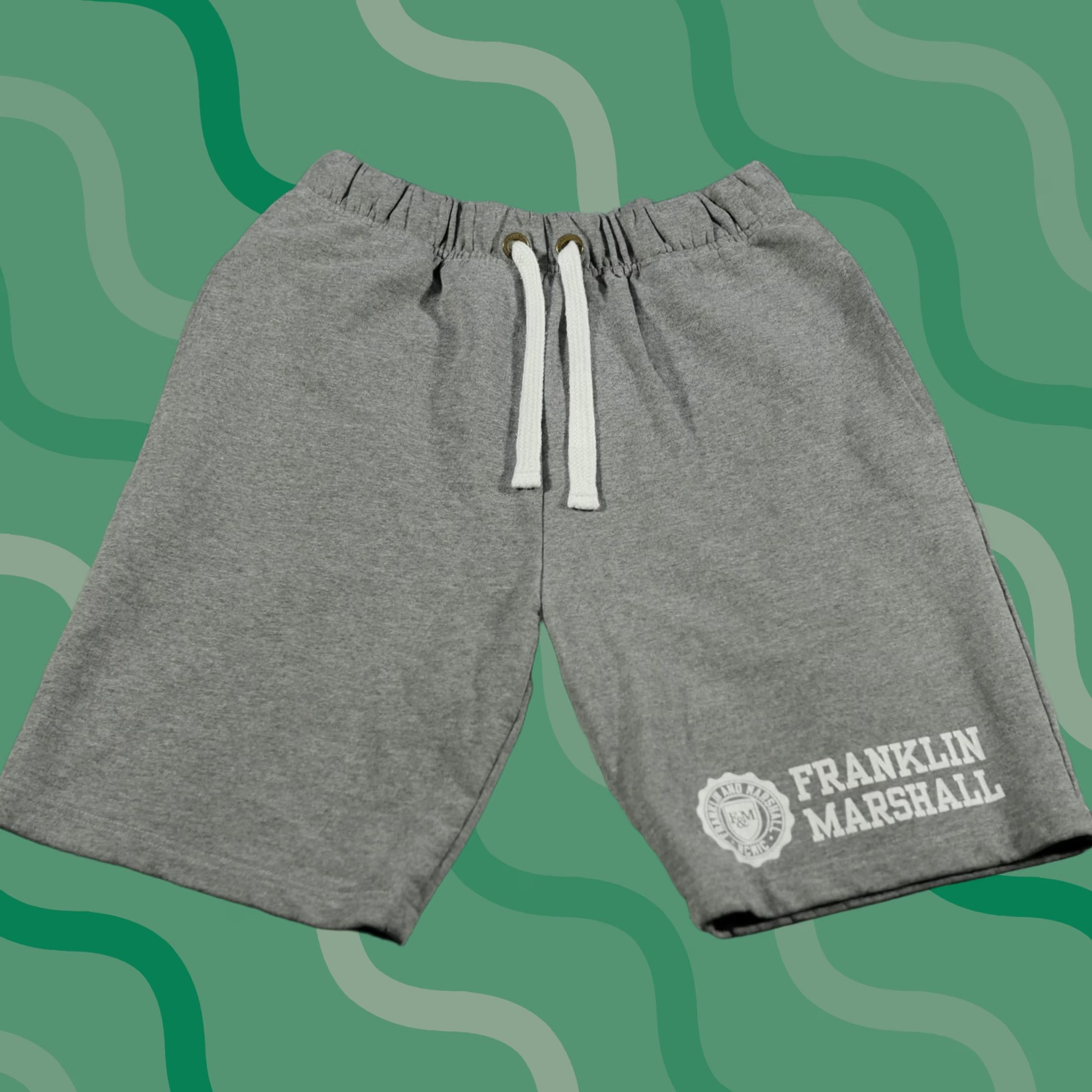 American Eagle Outfitters VINTAGE Franklin Marshall Varsity Shorts Mens Small Gray Fleece Sweat Crest Italy Made Size US 29 - 1 Thumbnail
