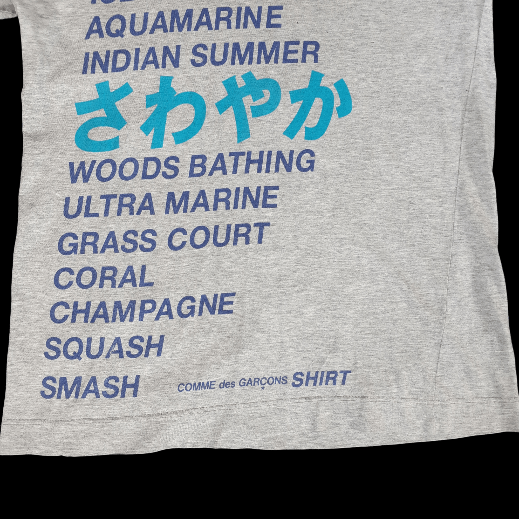 Comme des Garcons Comme des Garcons Shirt 02SS Poem T Shirt Size US S / EU 44-46 / 1 - 4 Thumbnail