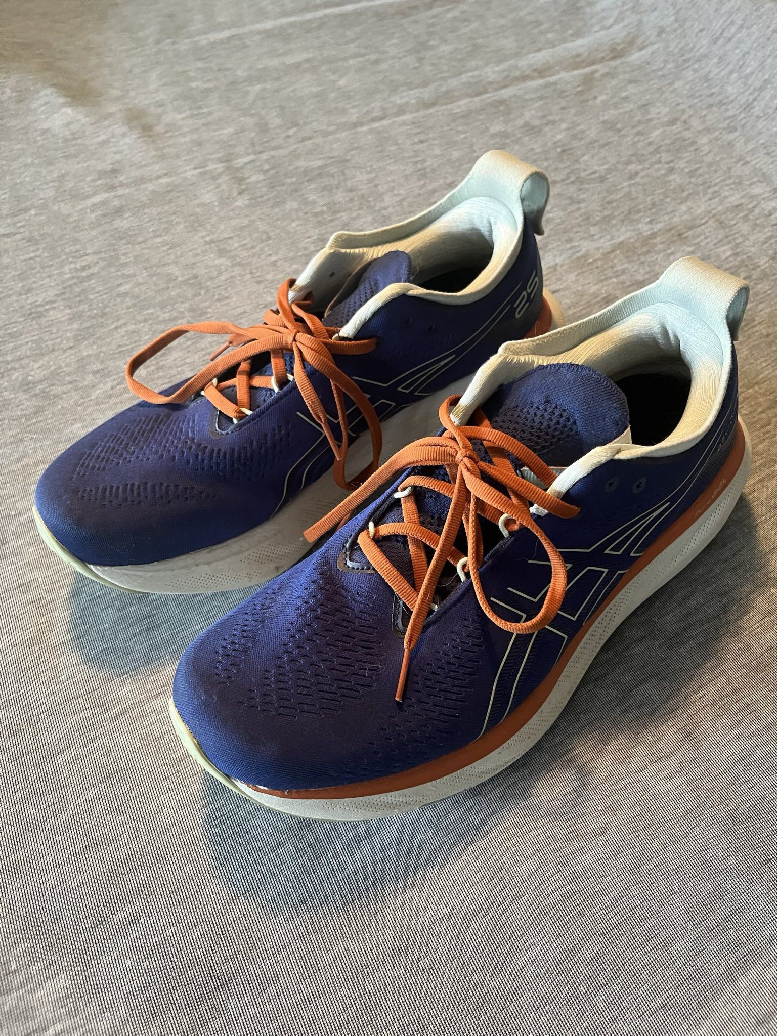 Asics ASICS Gel Nimbus 25 Size US 12 / EU 45 - 1 Thumbnail