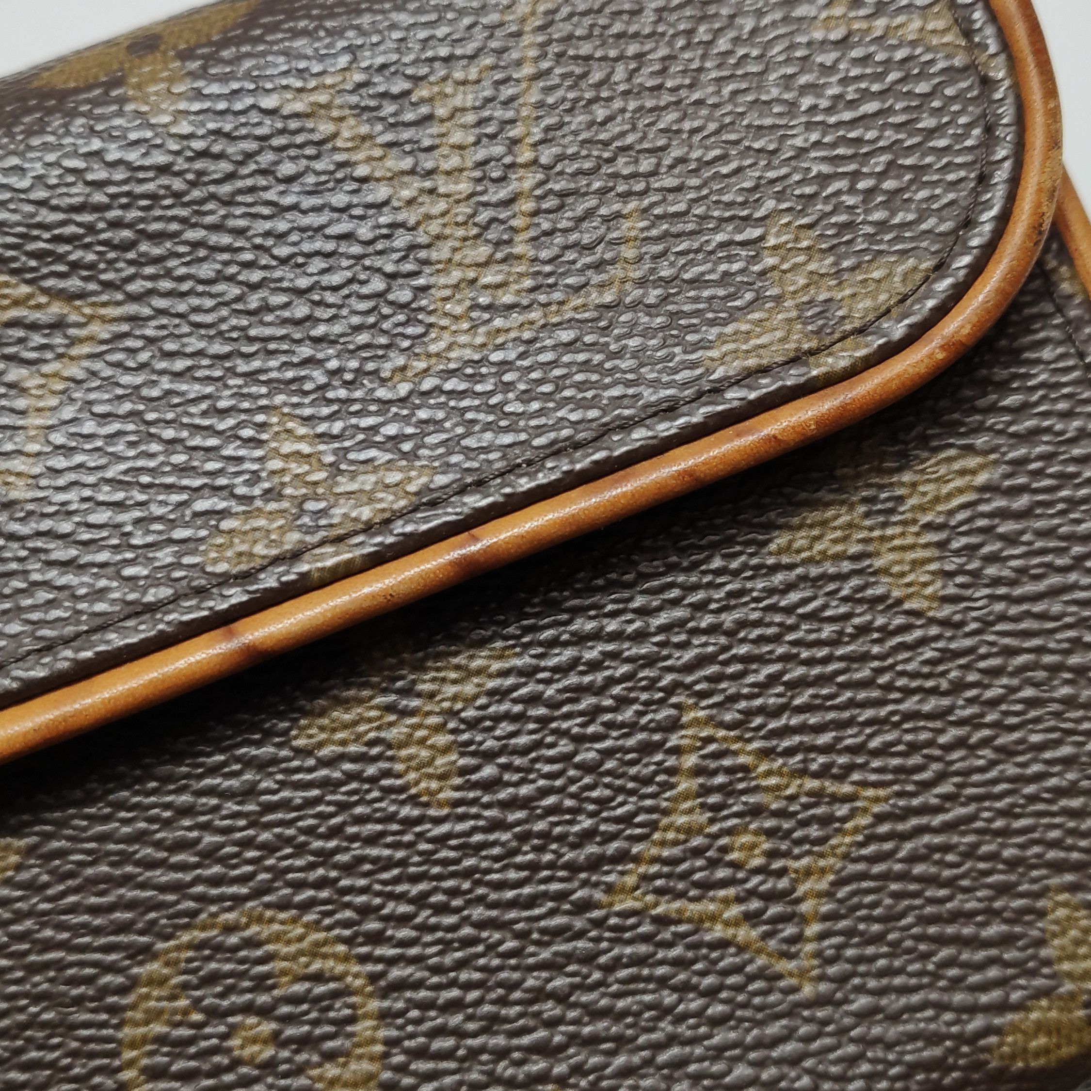 Louis Vuitton Louis Vuitton (LV) Florentine vegetable tanned leather Mono Size ONE SIZE - 8 Thumbnail