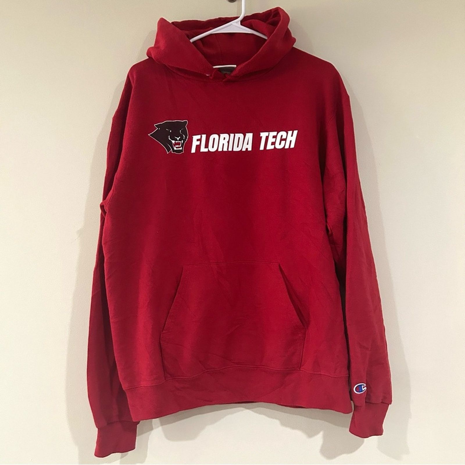 Champion Champion Florida Tech Panthers Hoodie Size US M / EU 48-50 / 2 - 1 Thumbnail